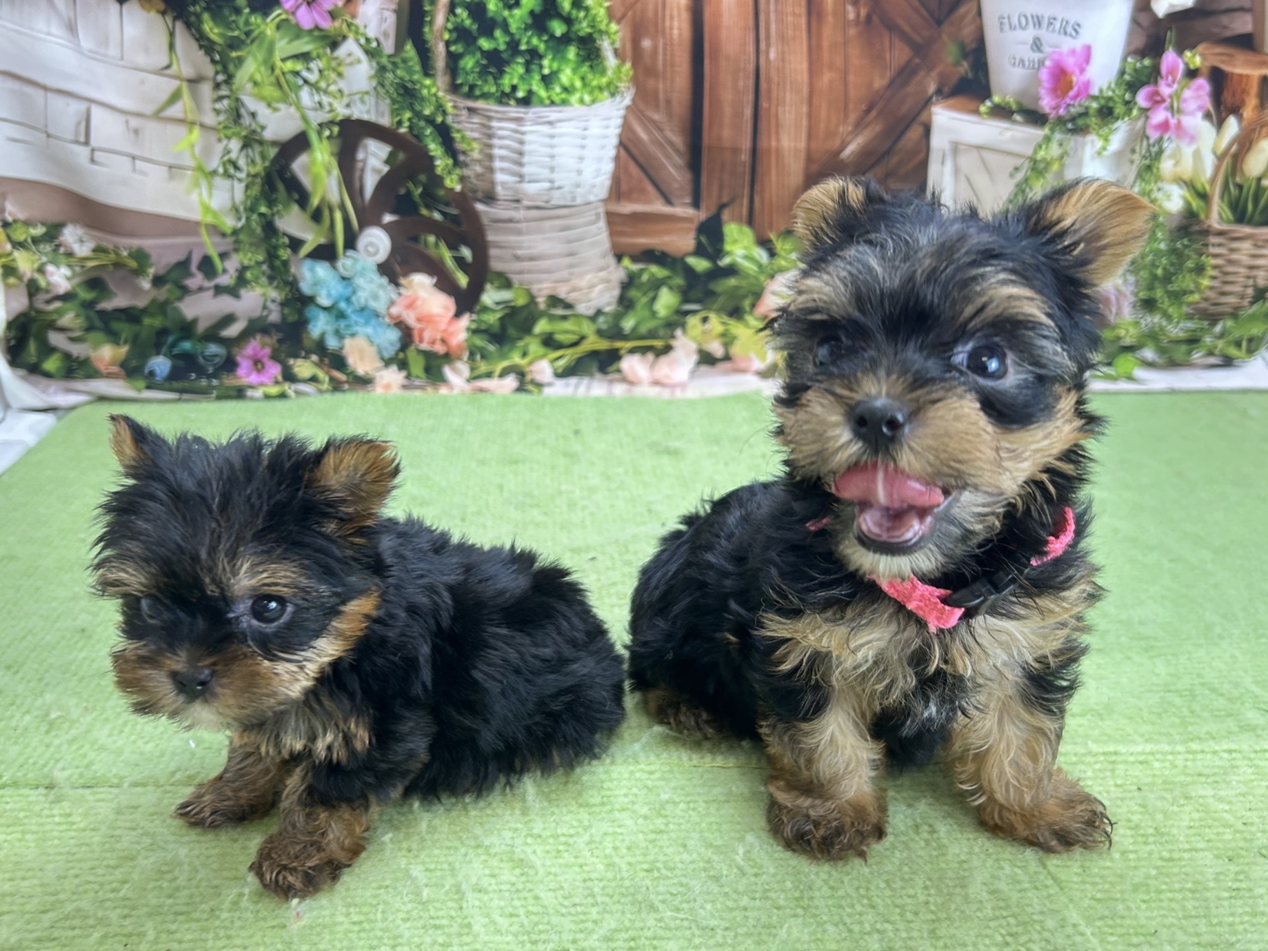 赤ちゃん写真3-3