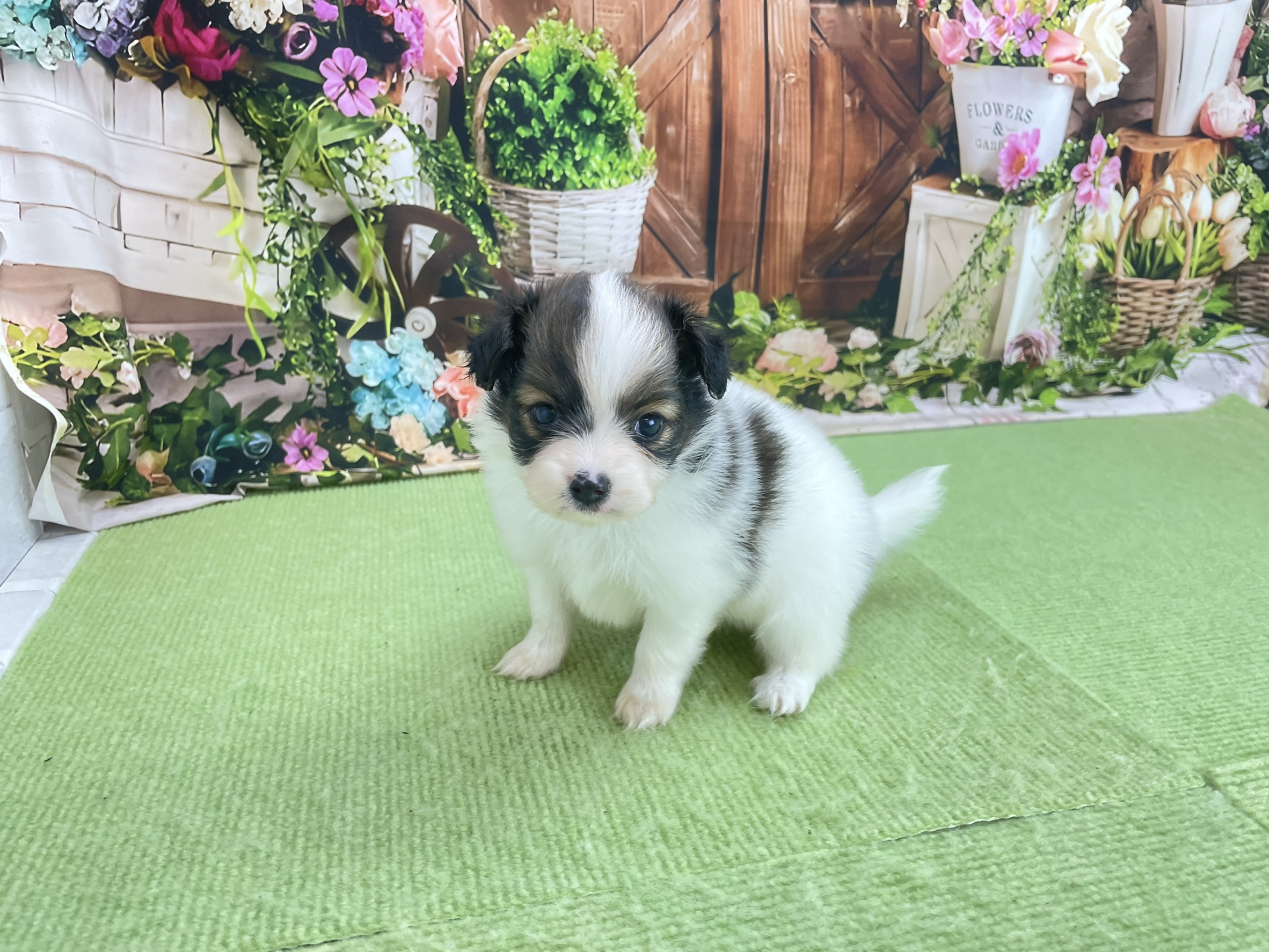 赤ちゃん写真2-1