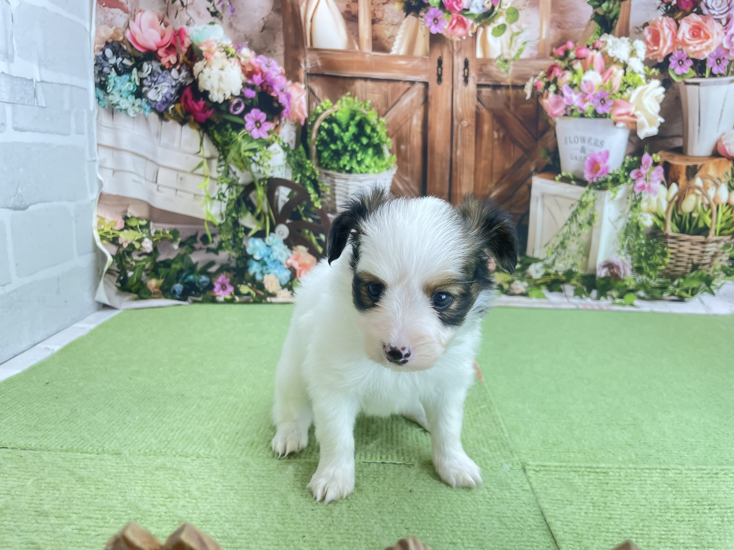 赤ちゃん写真2-1
