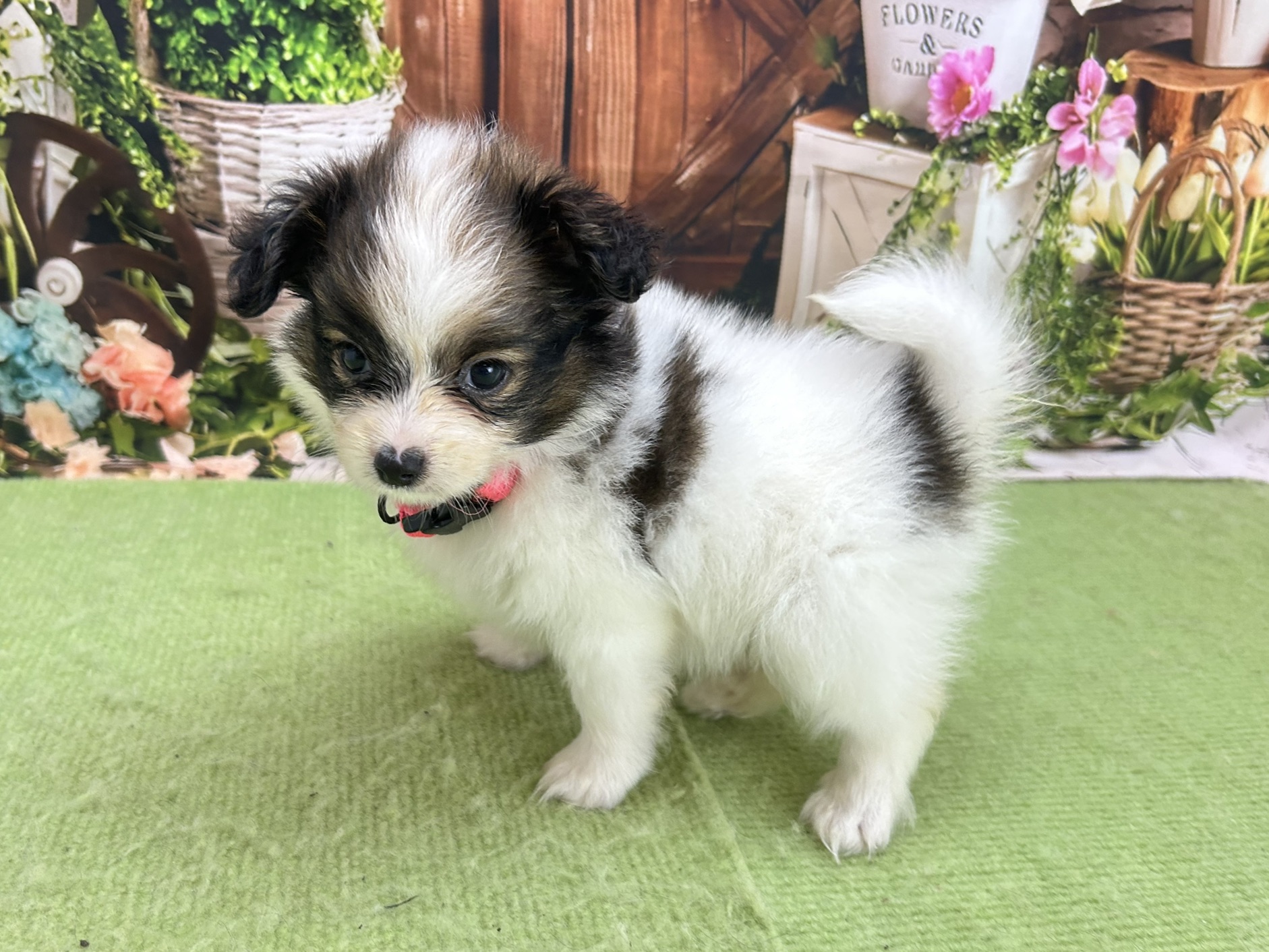 赤ちゃん写真3-2