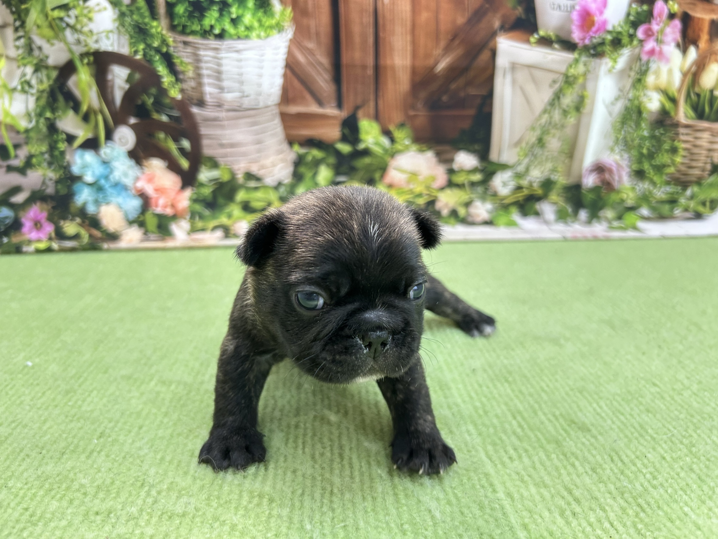 赤ちゃん写真1-1