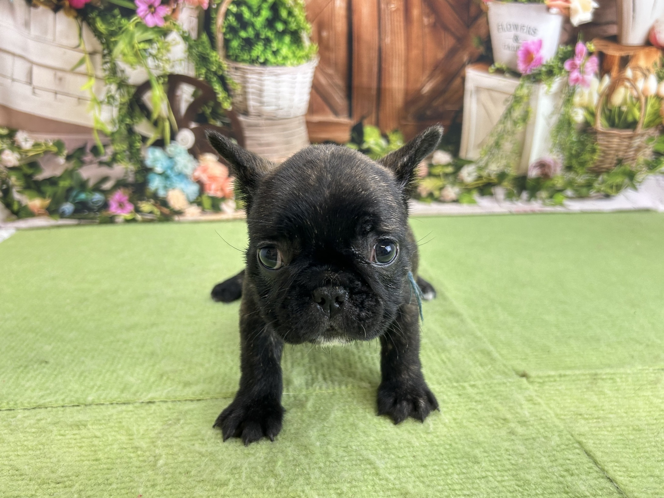 赤ちゃん写真2-1