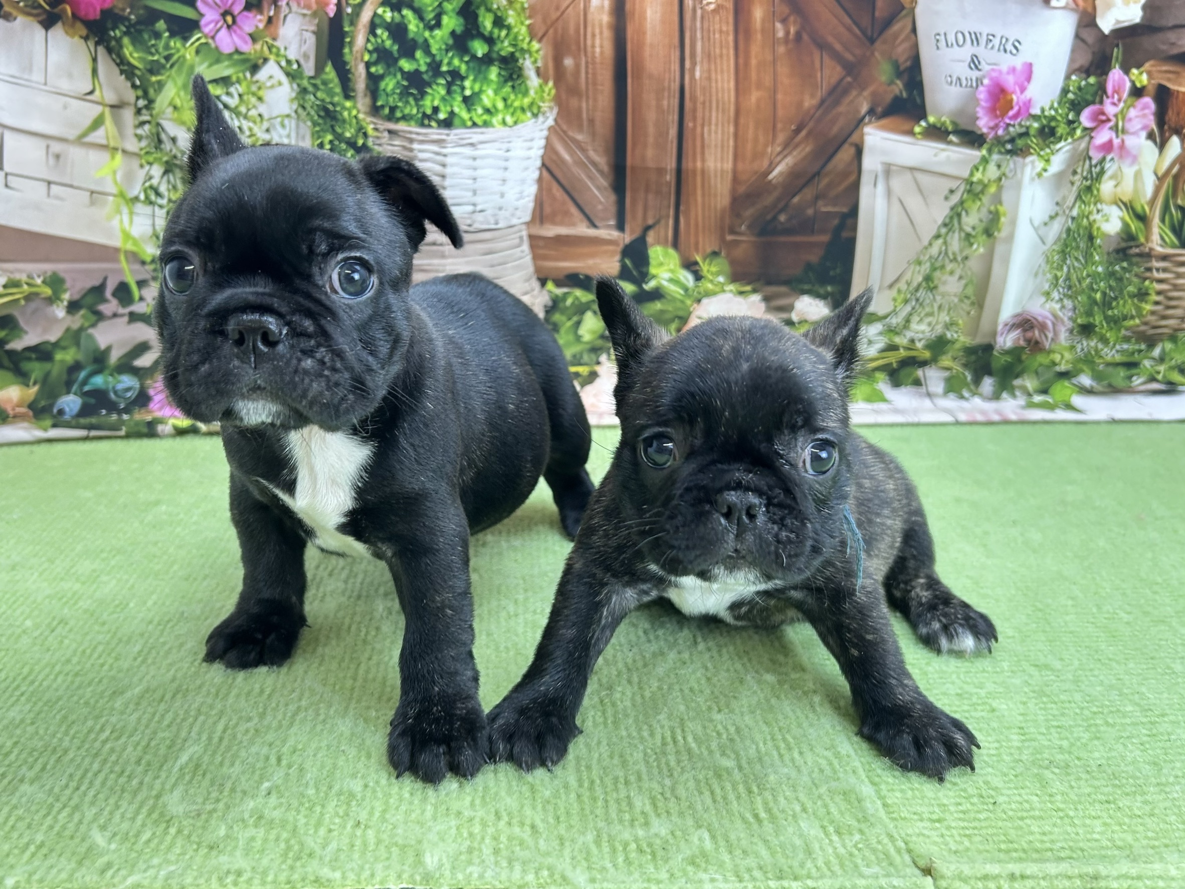 赤ちゃん写真2-3