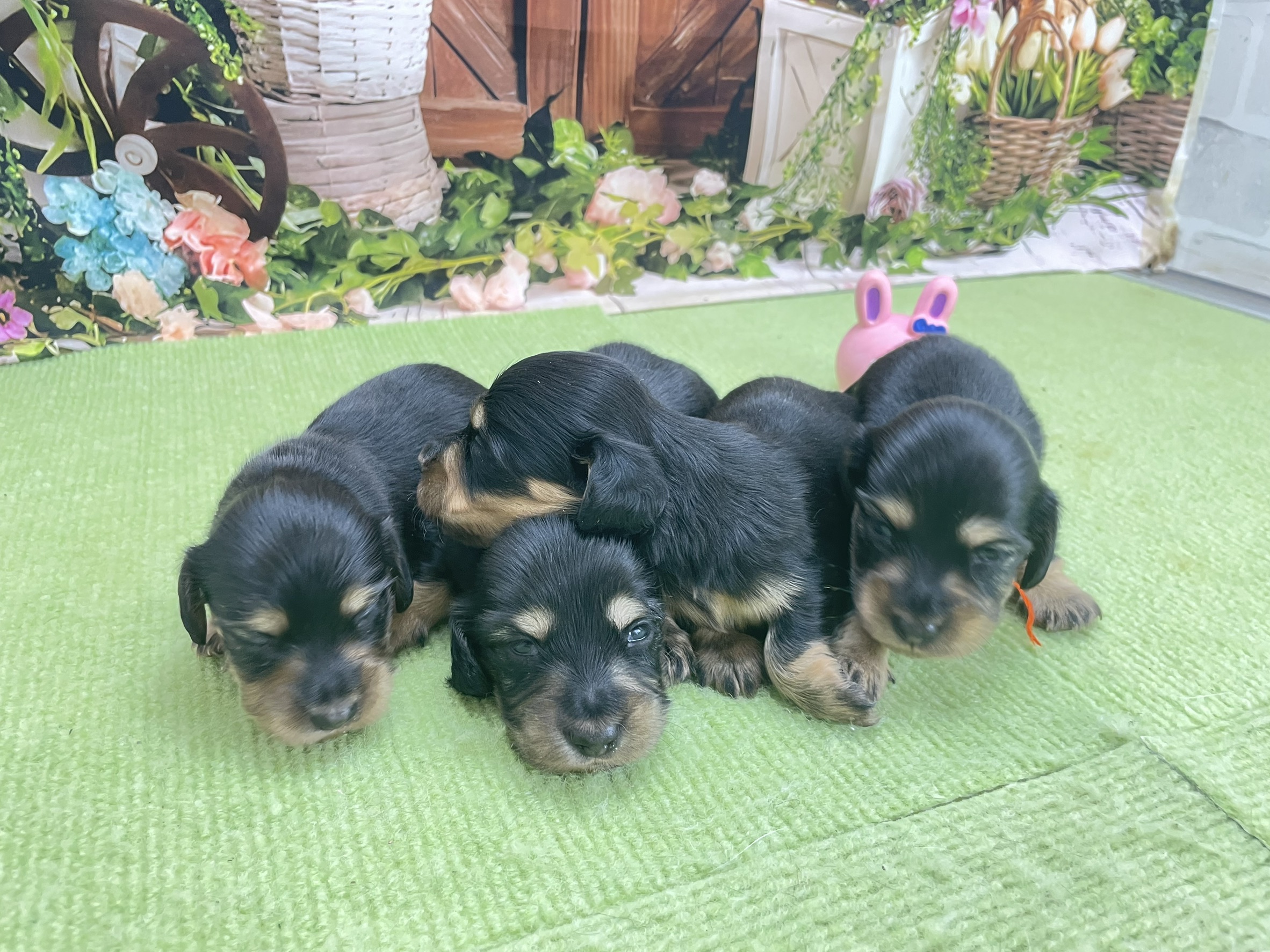 赤ちゃん写真1-3