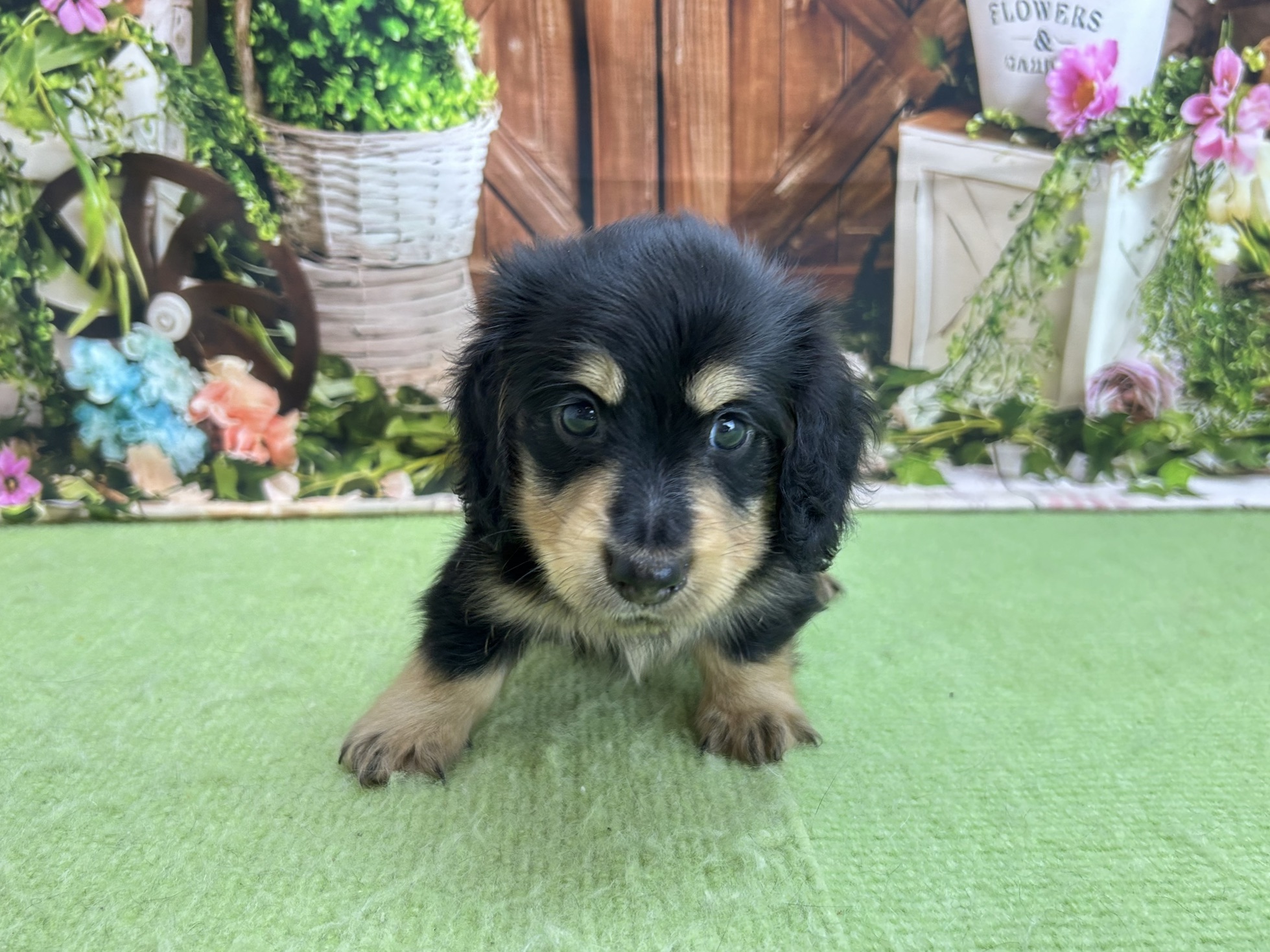 赤ちゃん写真2-1