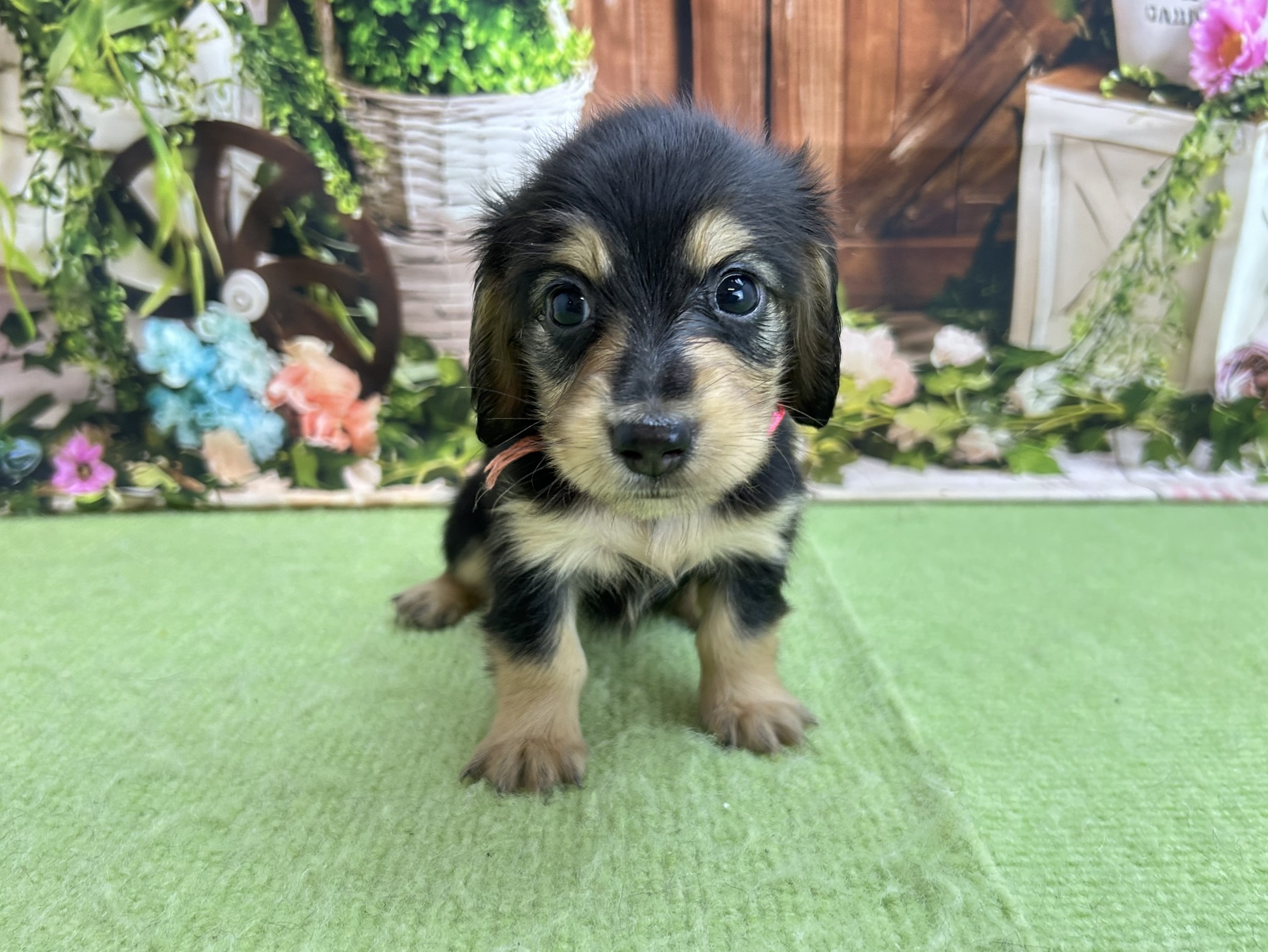 赤ちゃん写真2-1
