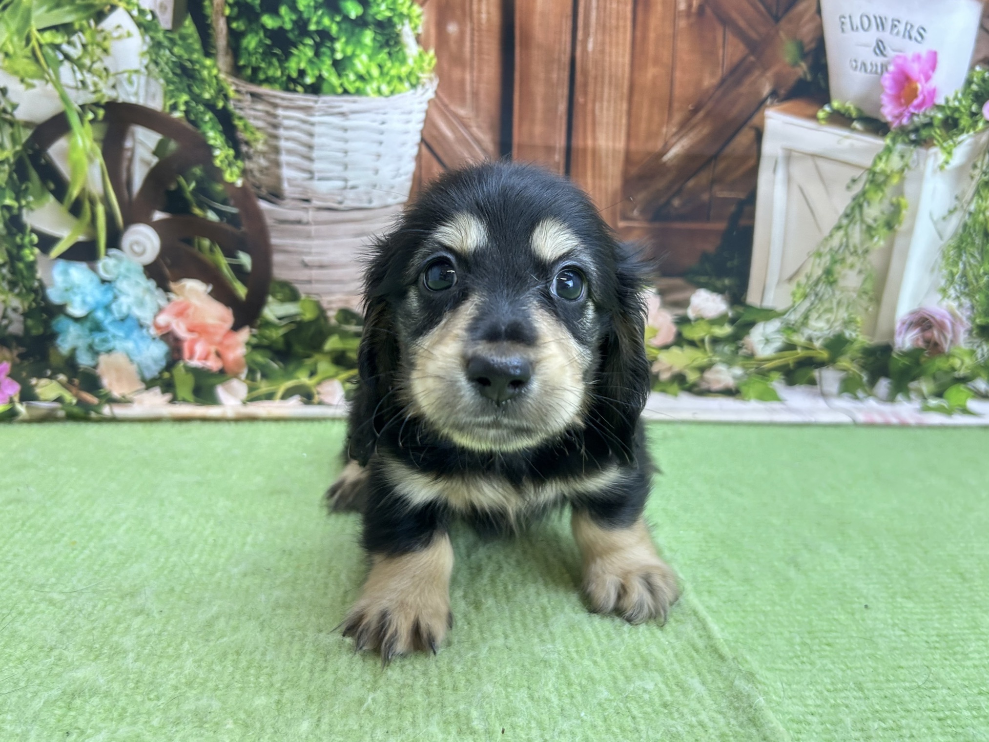 赤ちゃん写真2-1