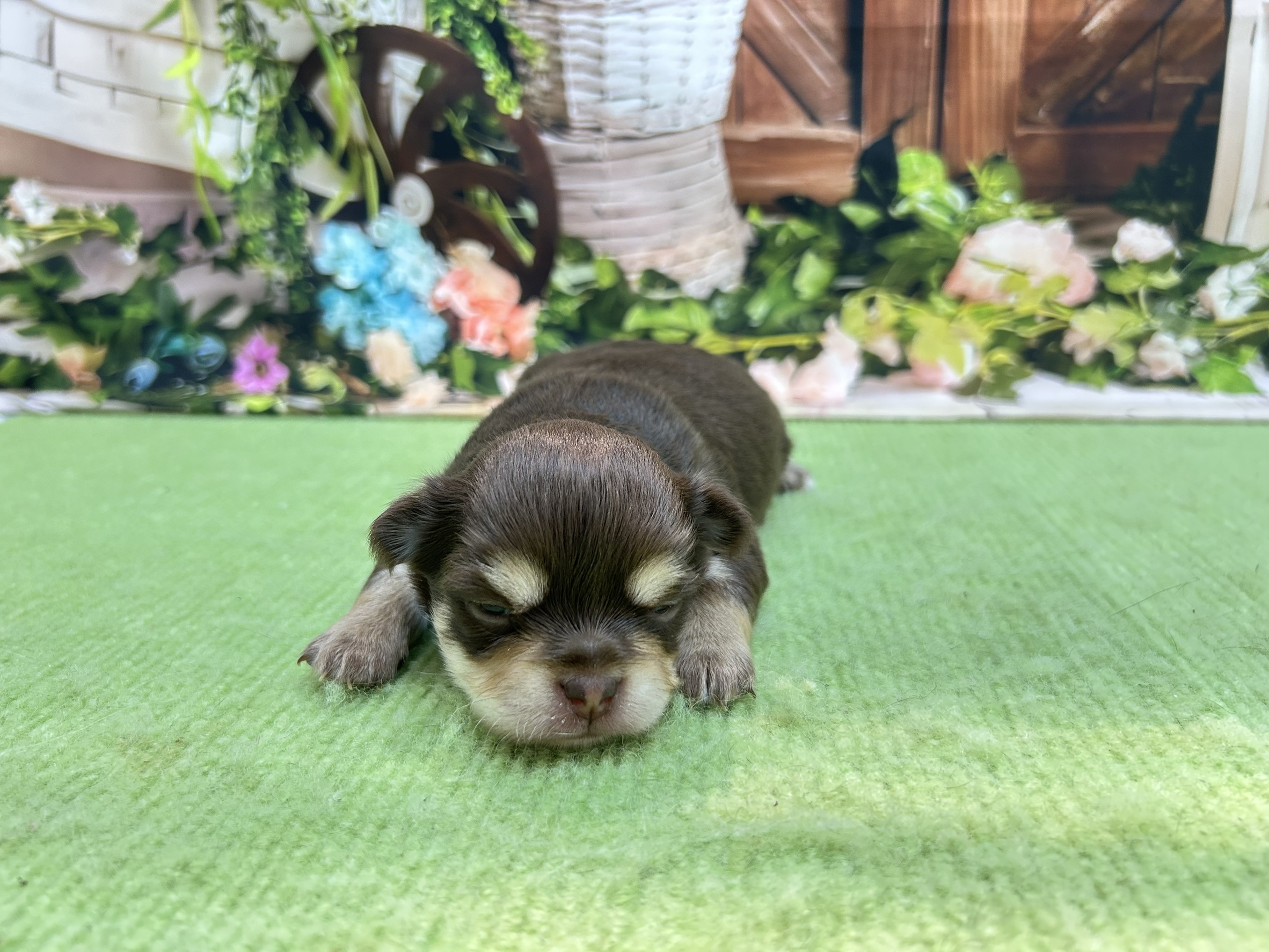 赤ちゃん写真1-1