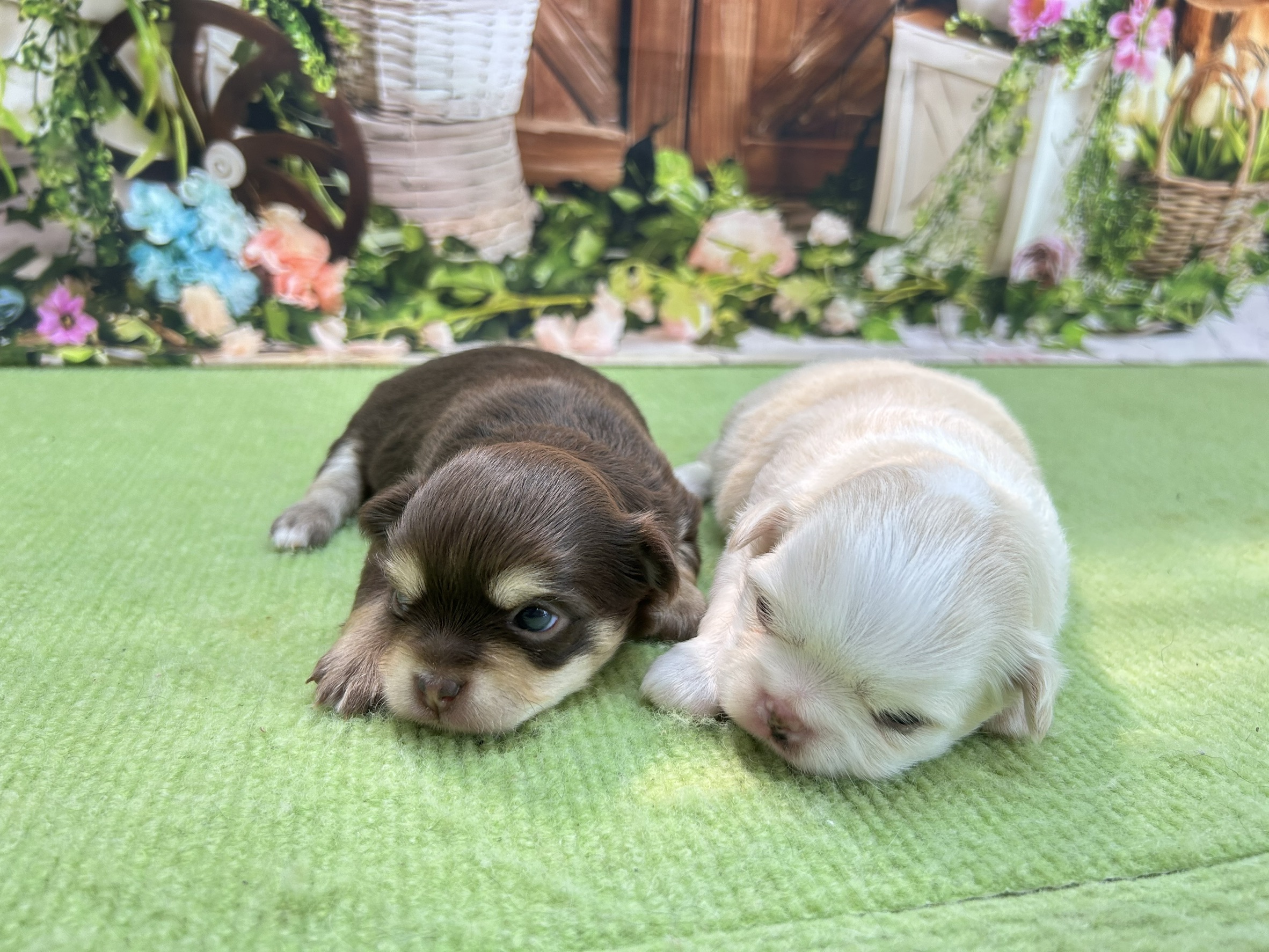 赤ちゃん写真1-3