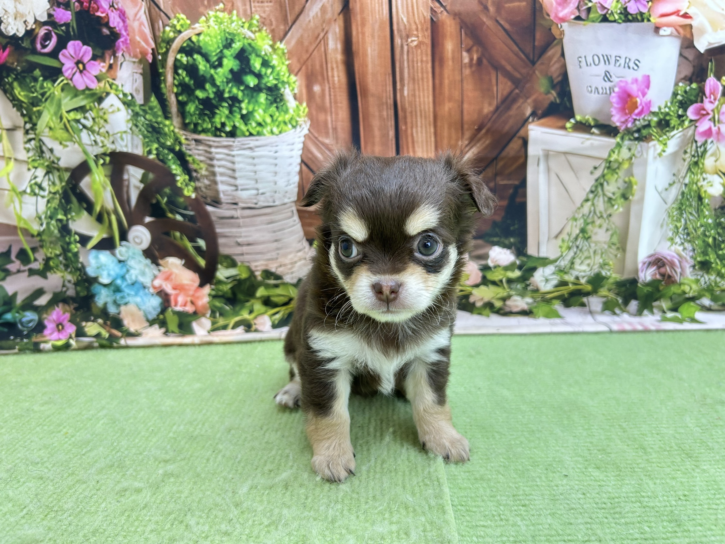 赤ちゃん写真2-1