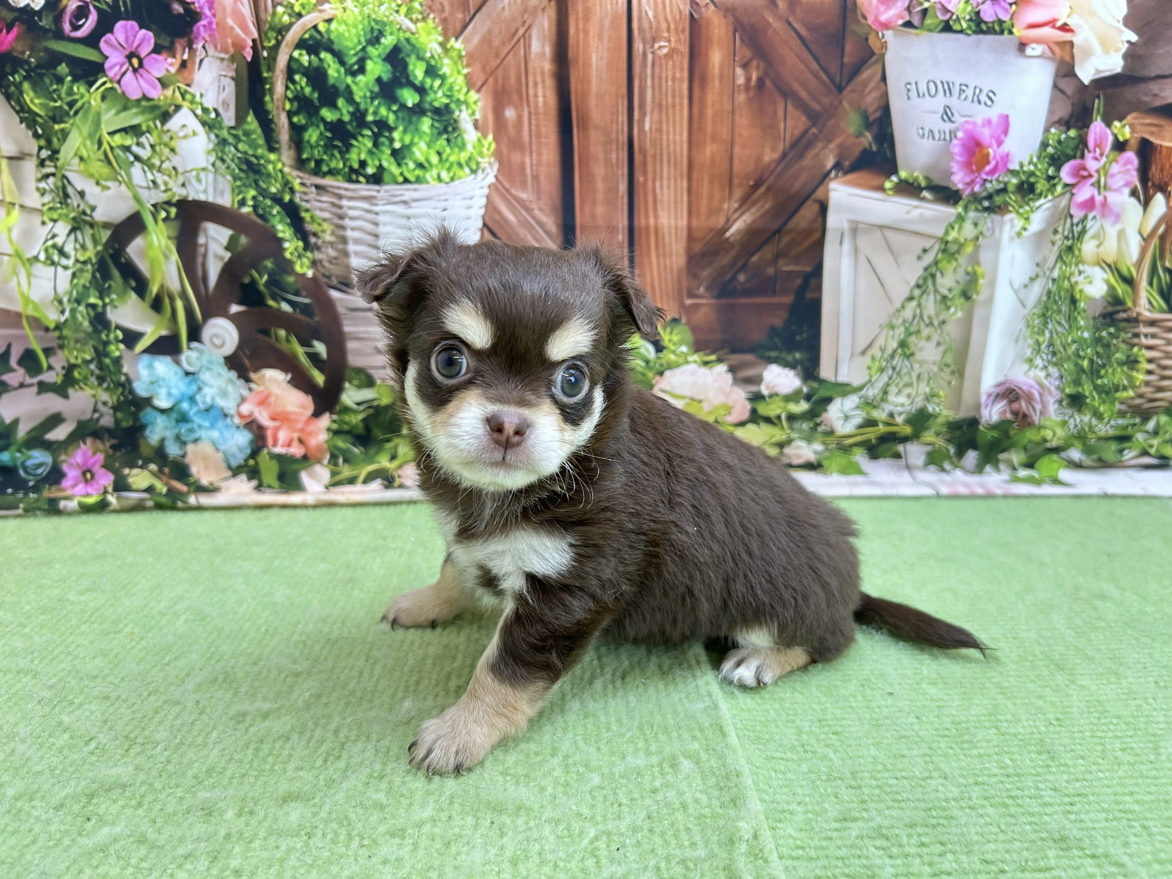 赤ちゃん写真2-2