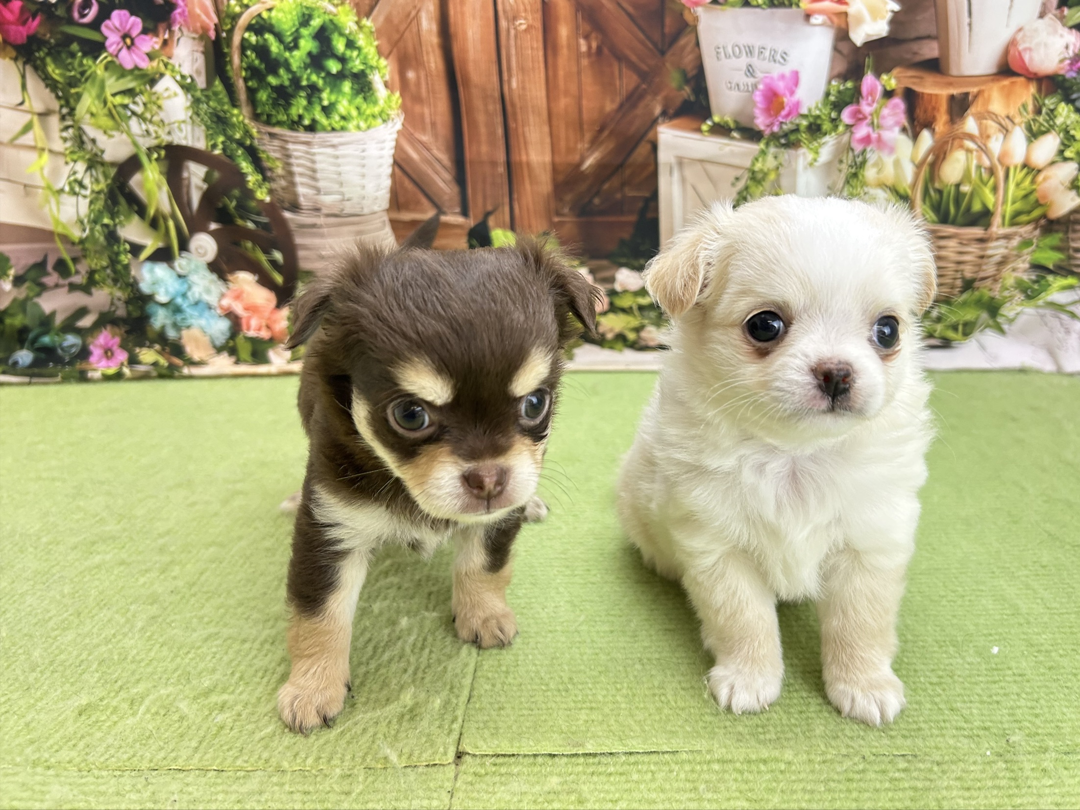 赤ちゃん写真2-3