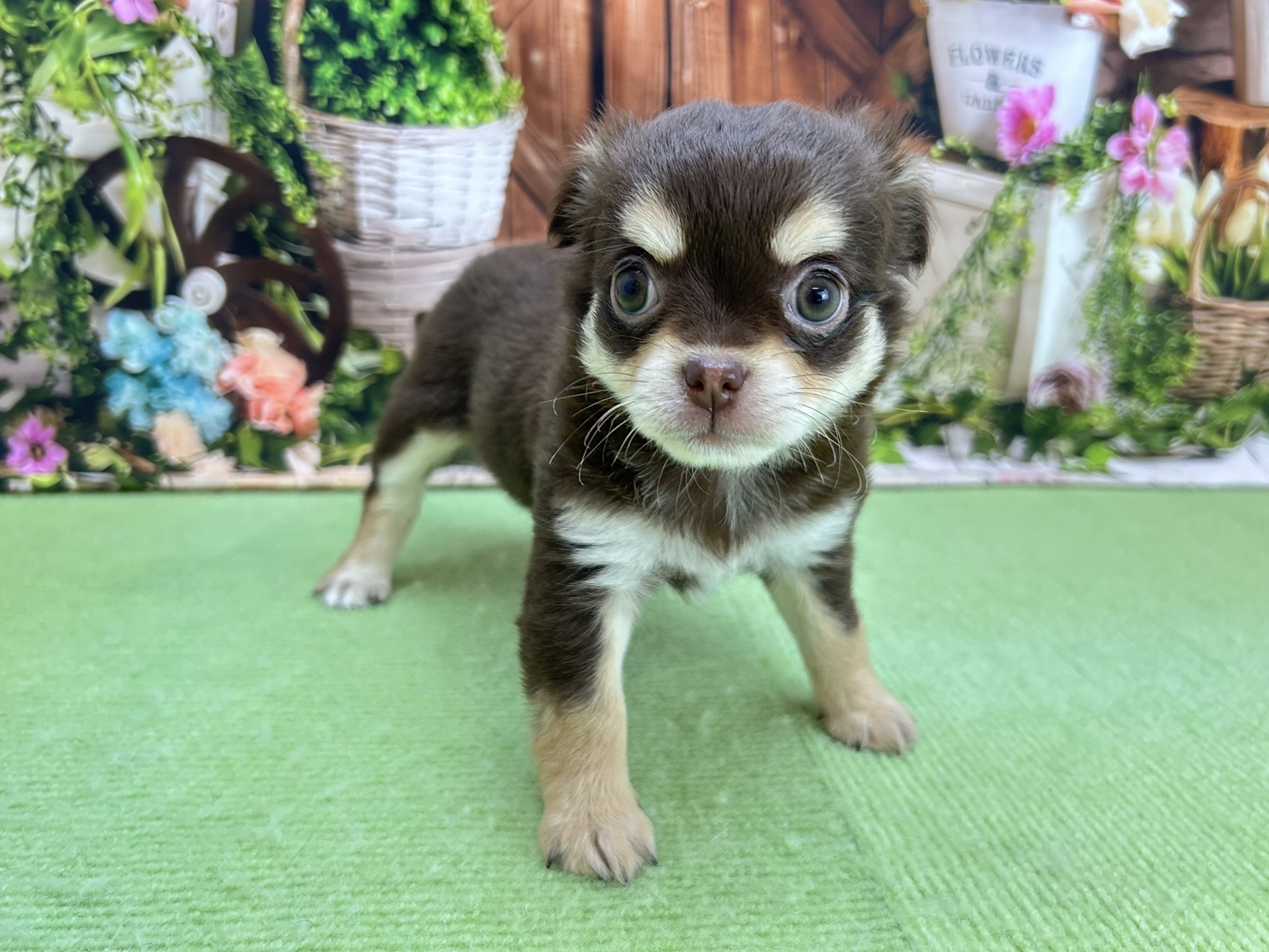 赤ちゃん写真3-1