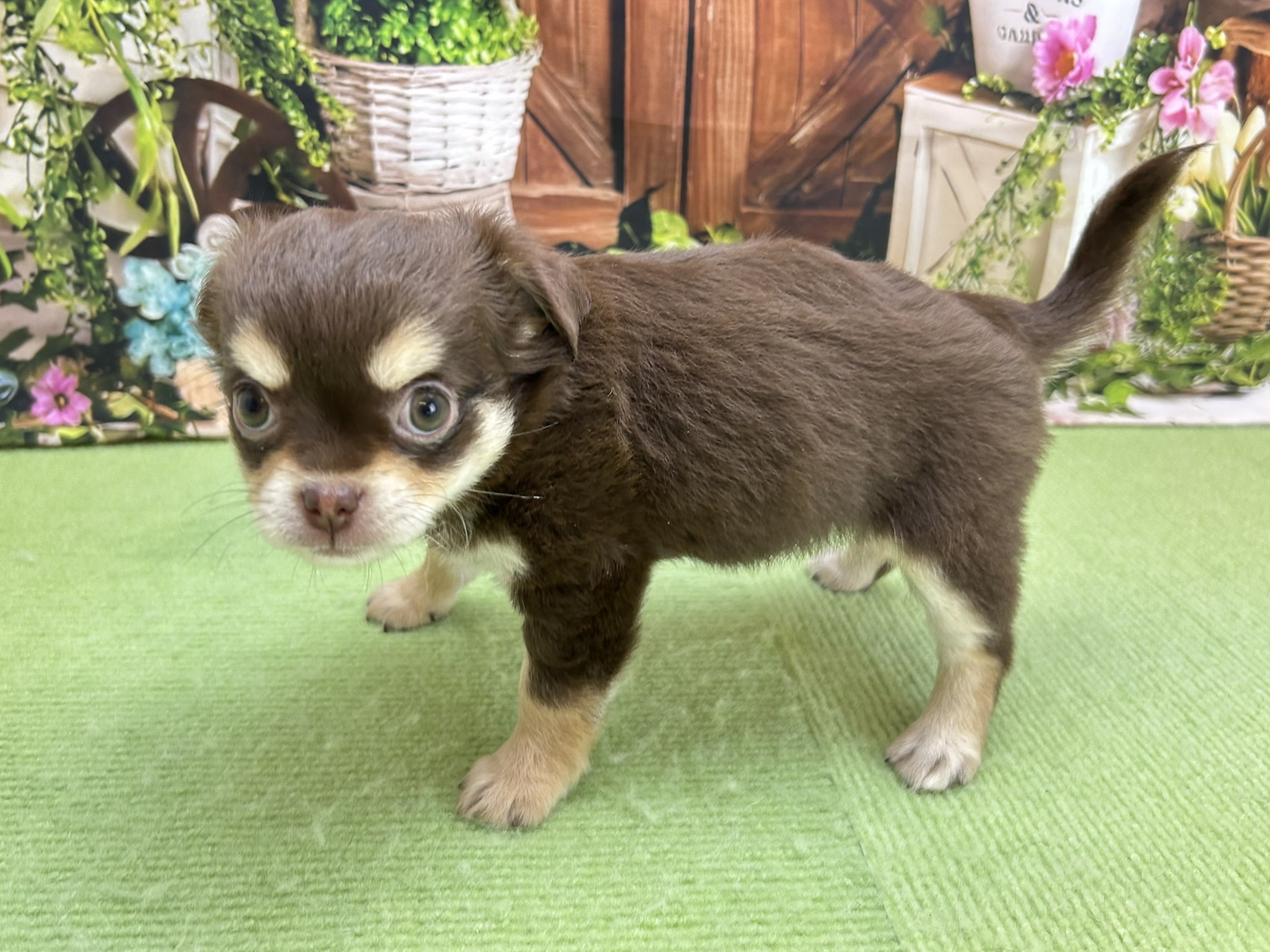 赤ちゃん写真3-2
