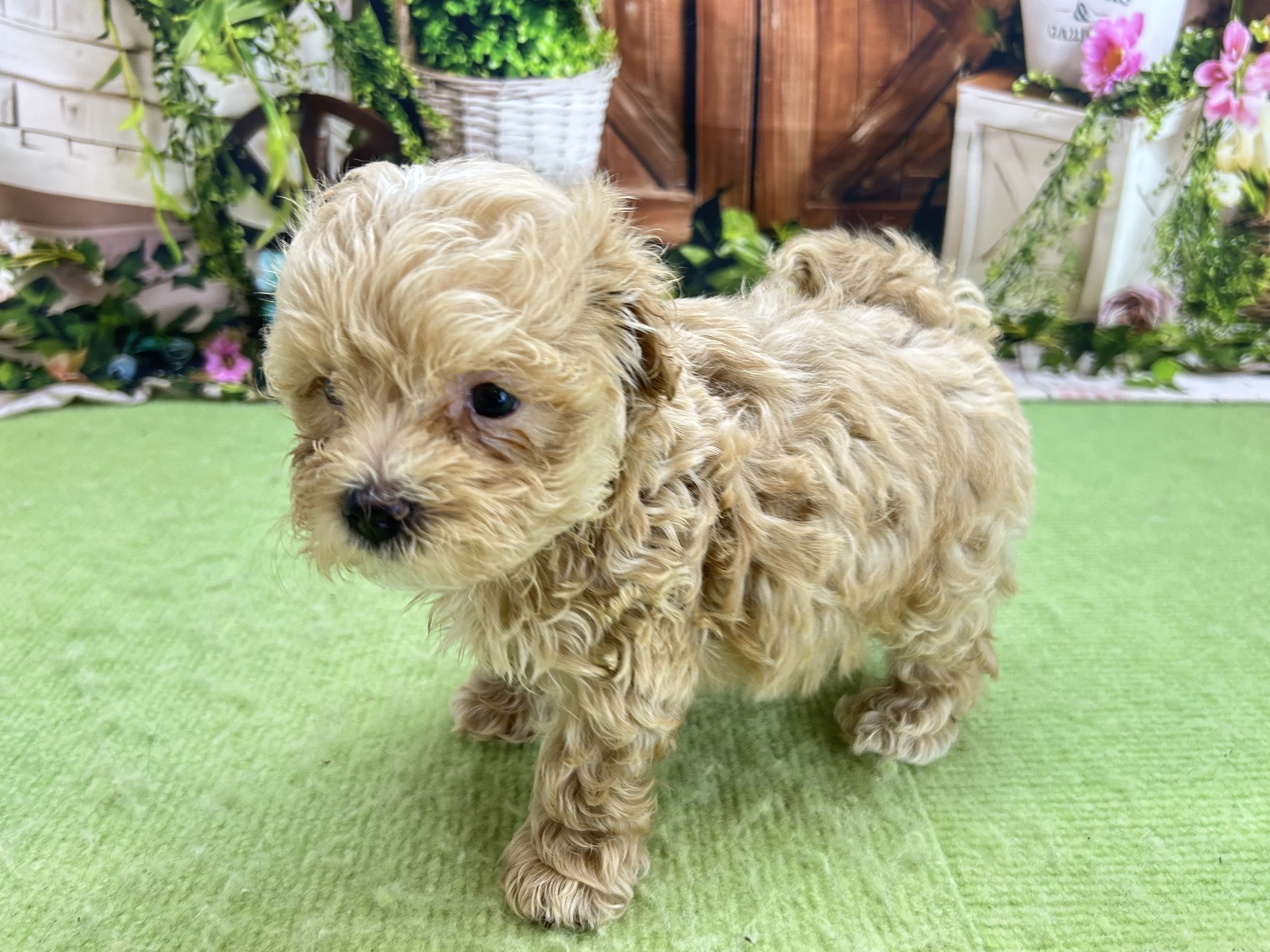 赤ちゃん写真2-2