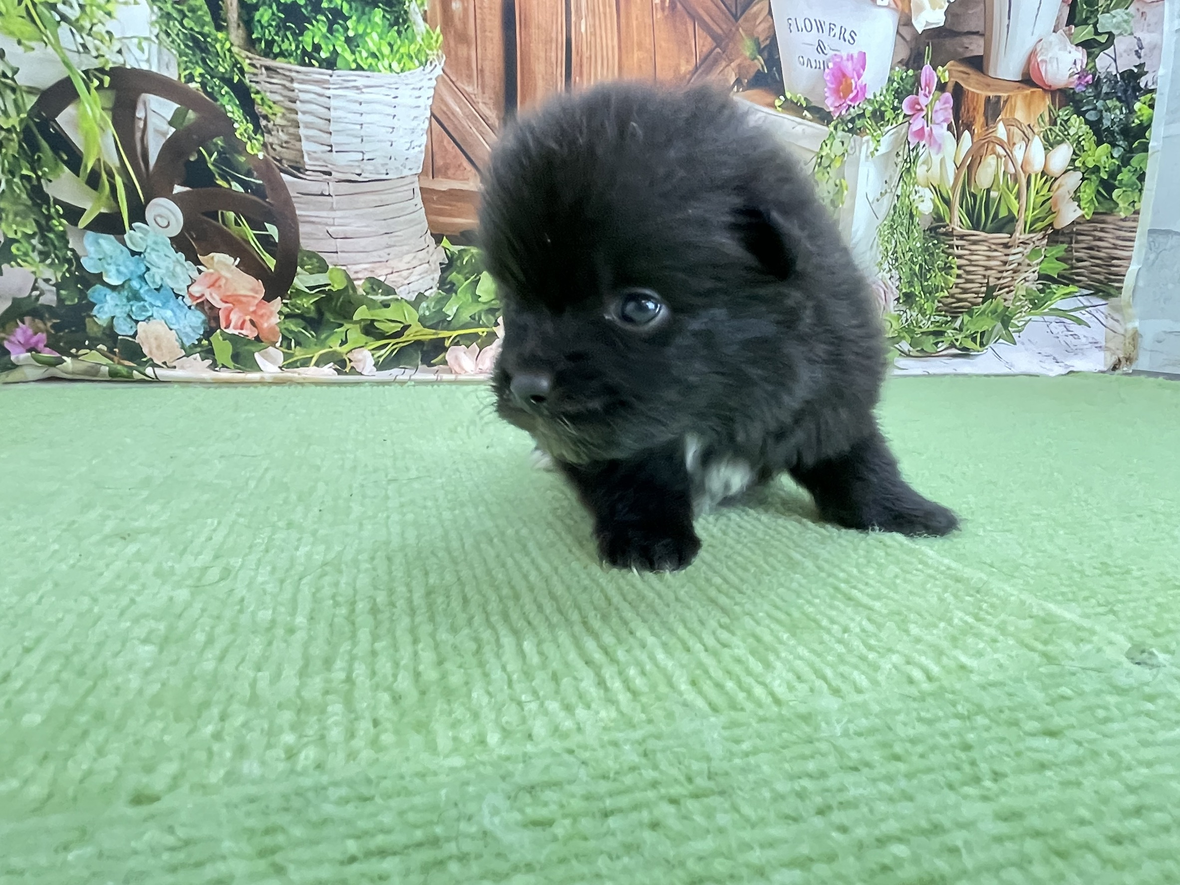 赤ちゃん写真1-2