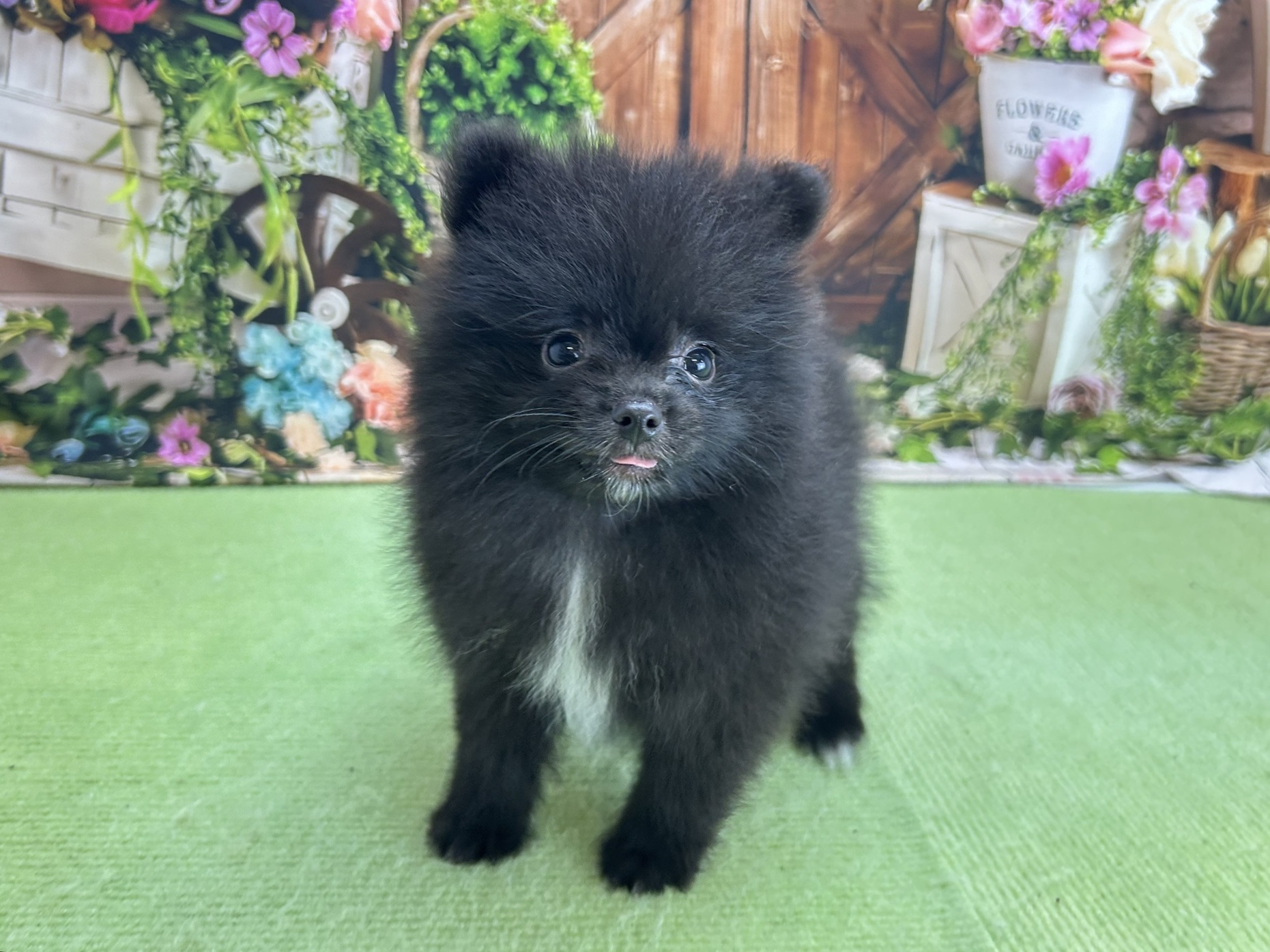赤ちゃん写真3-1