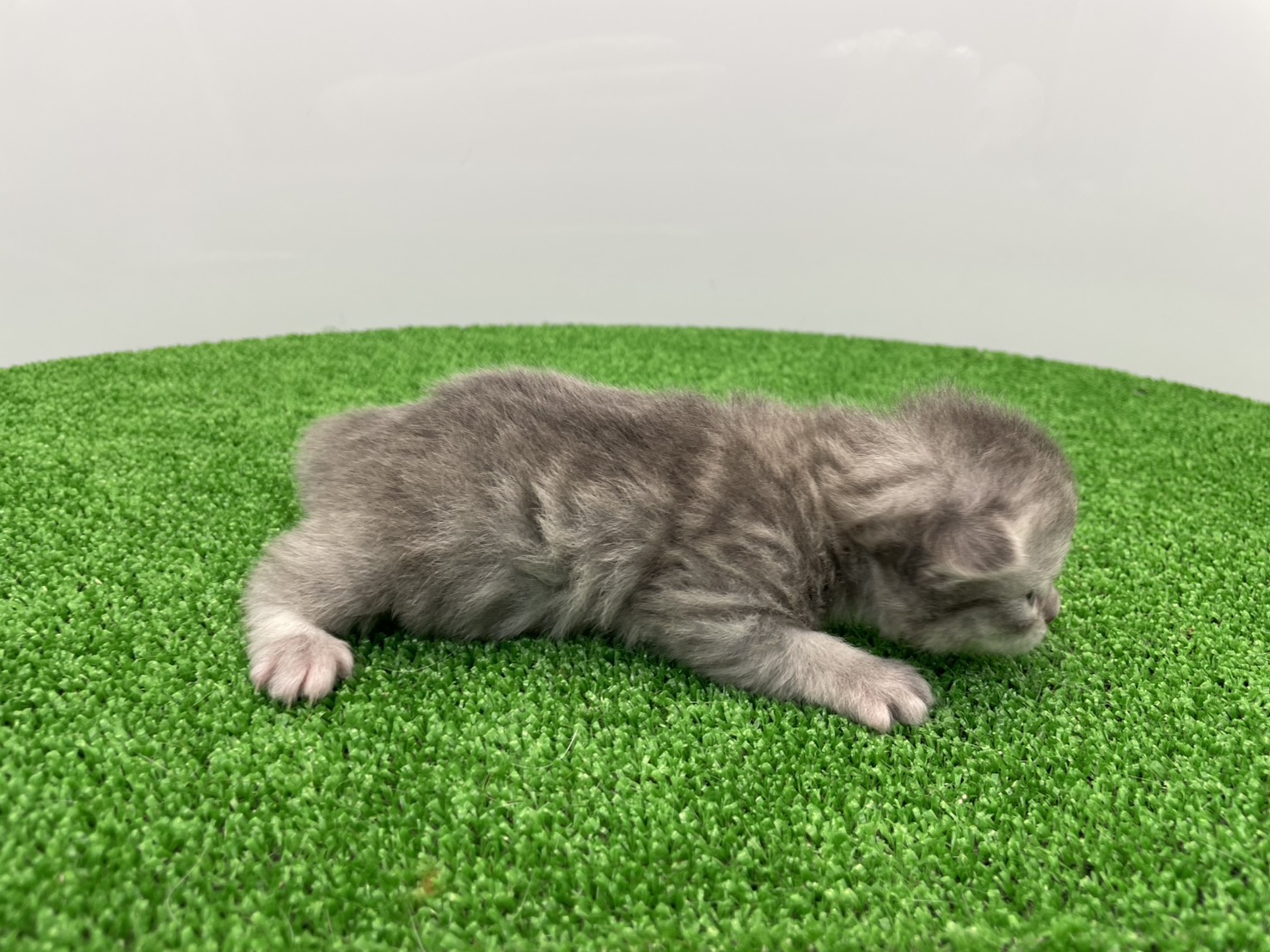 赤ちゃん写真1-2
