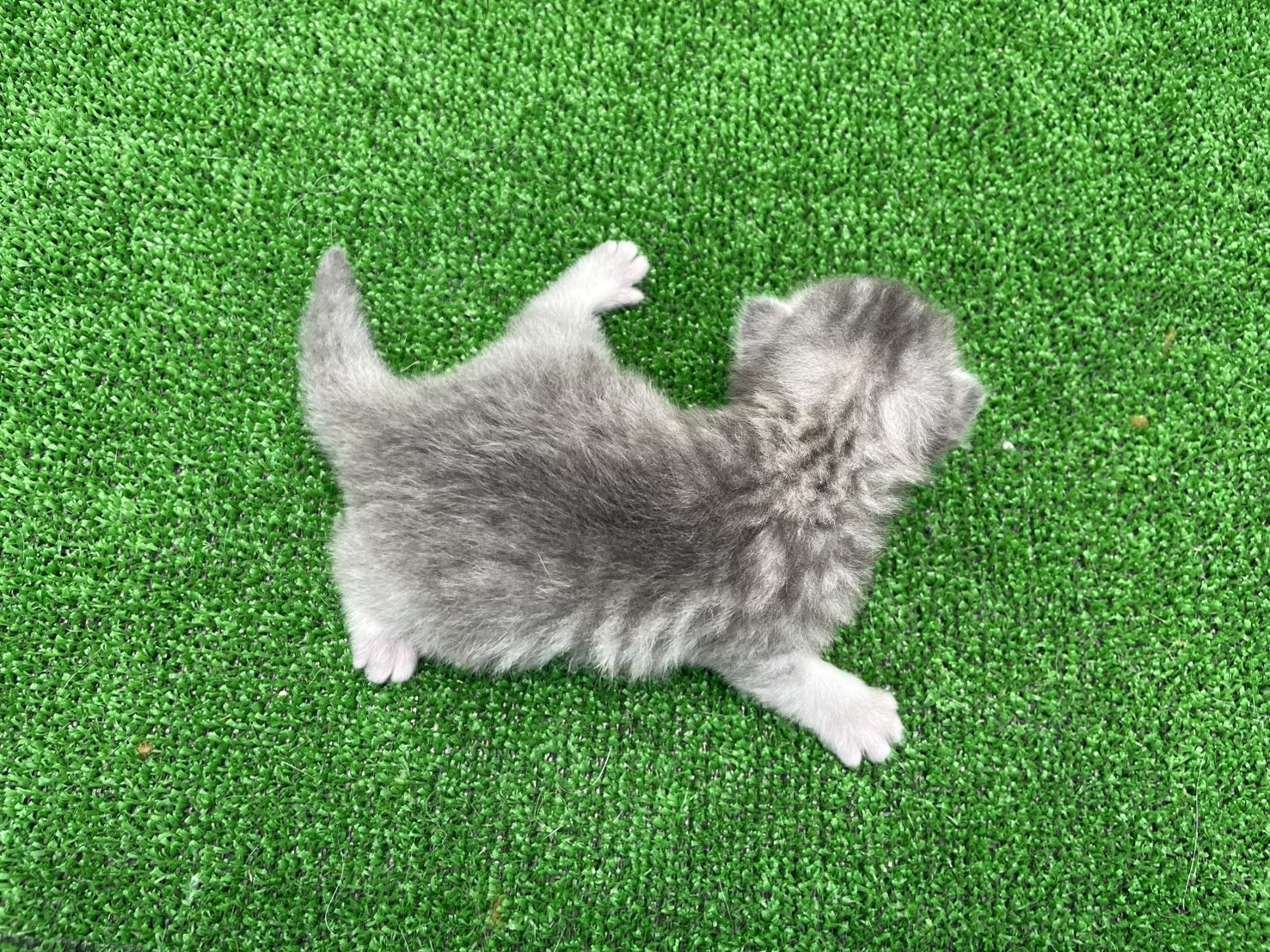 赤ちゃん写真1-3
