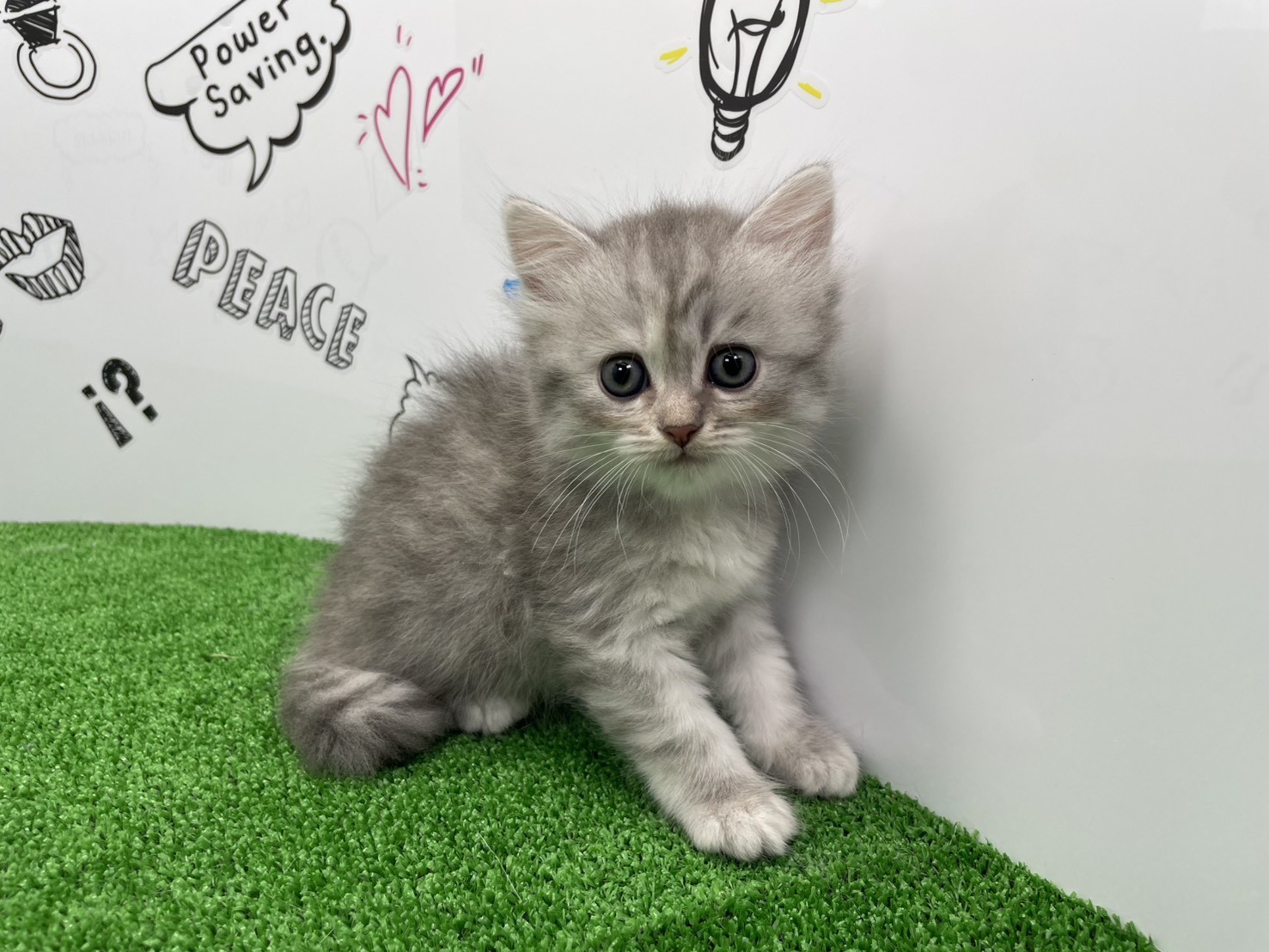 赤ちゃん写真2-1
