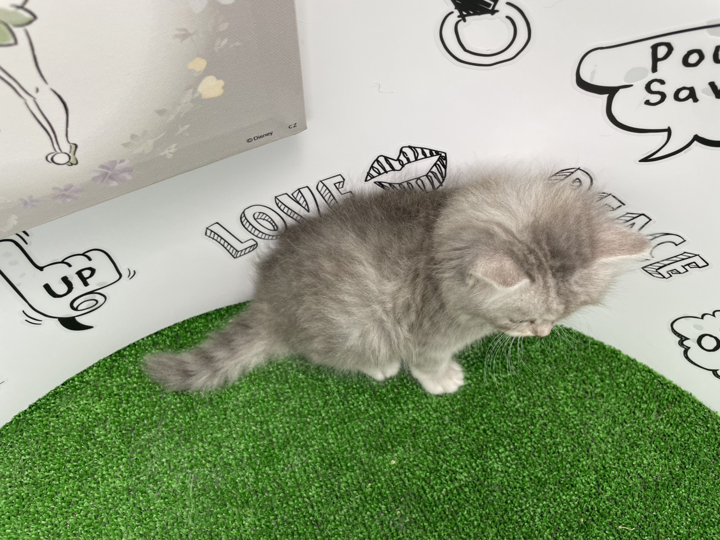 赤ちゃん写真2-3