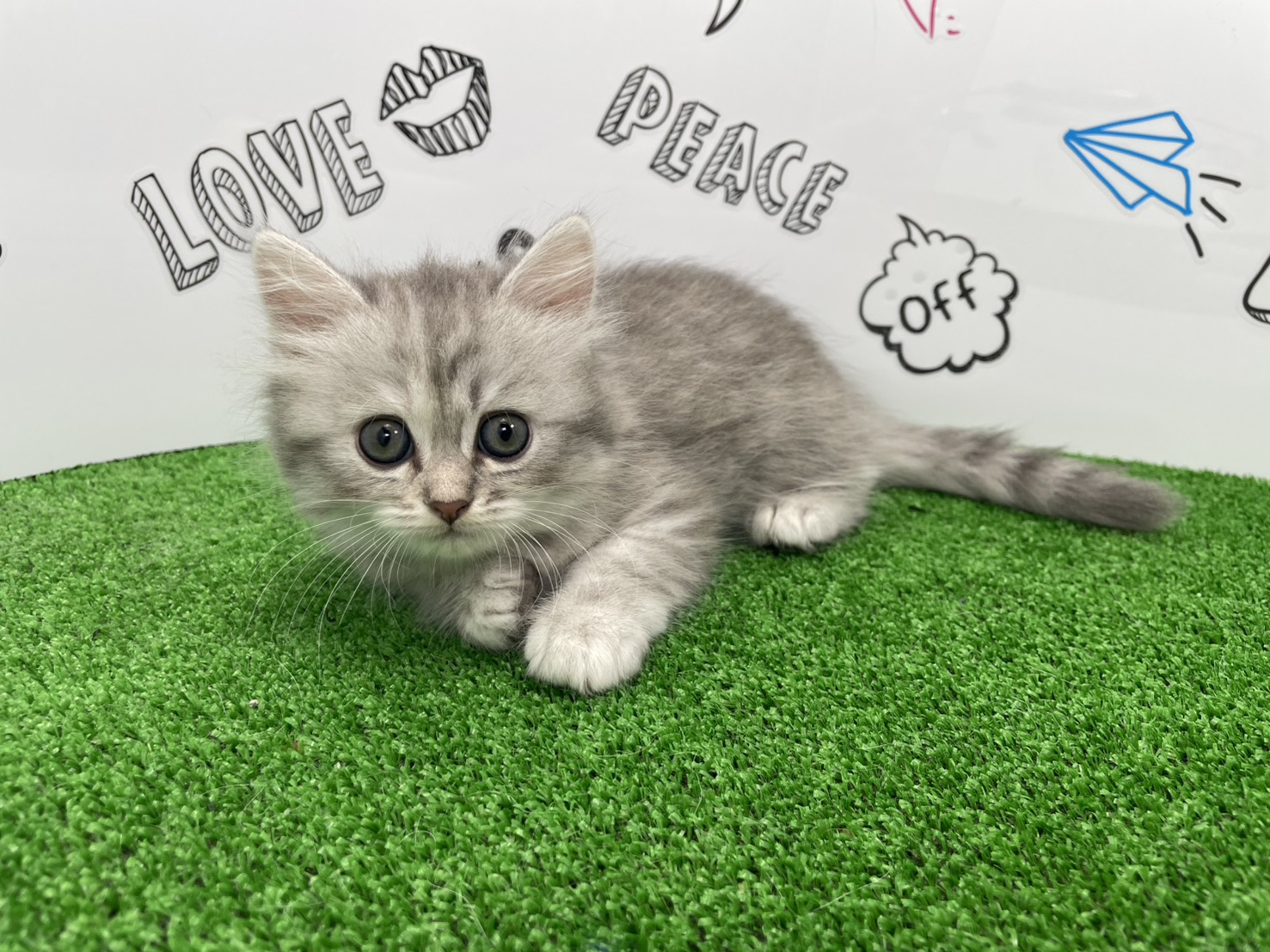 赤ちゃん写真3-1