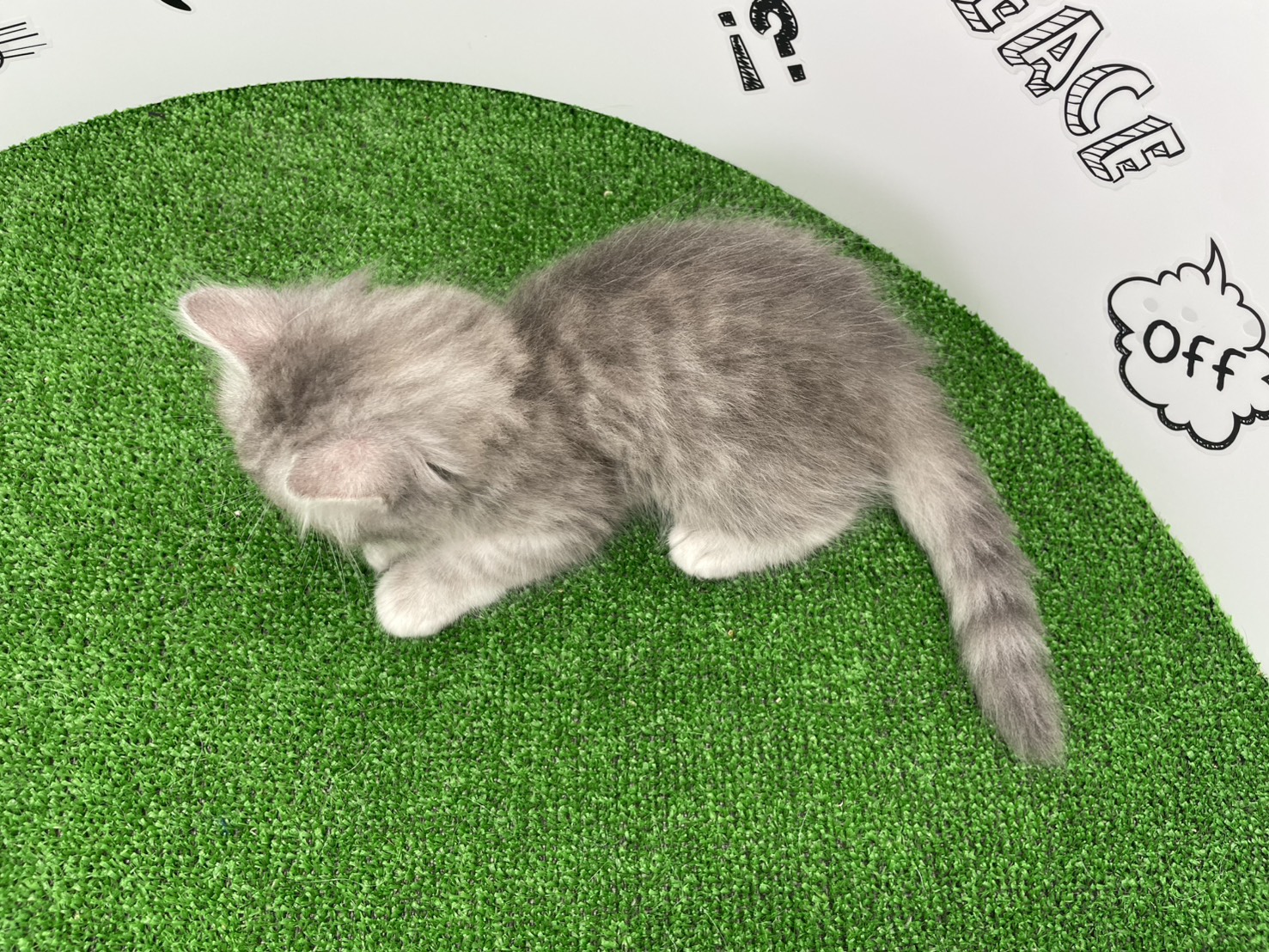 赤ちゃん写真3-3
