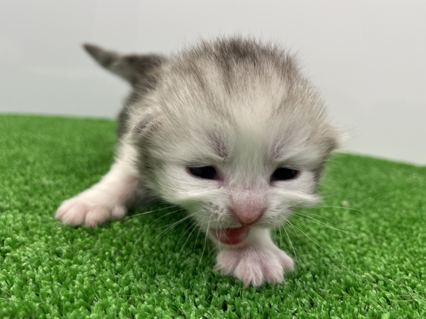 赤ちゃん写真1-1