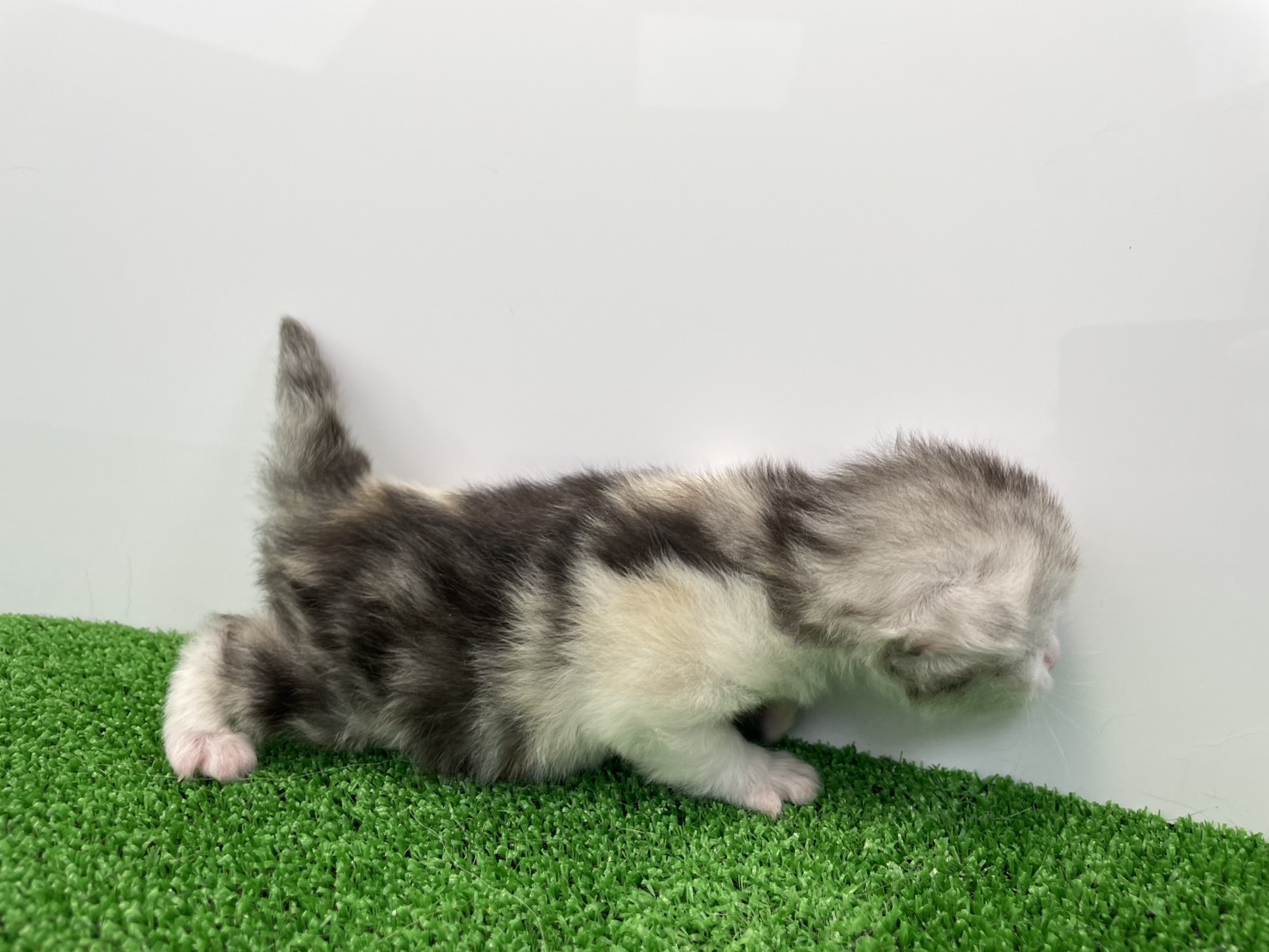 赤ちゃん写真1-2