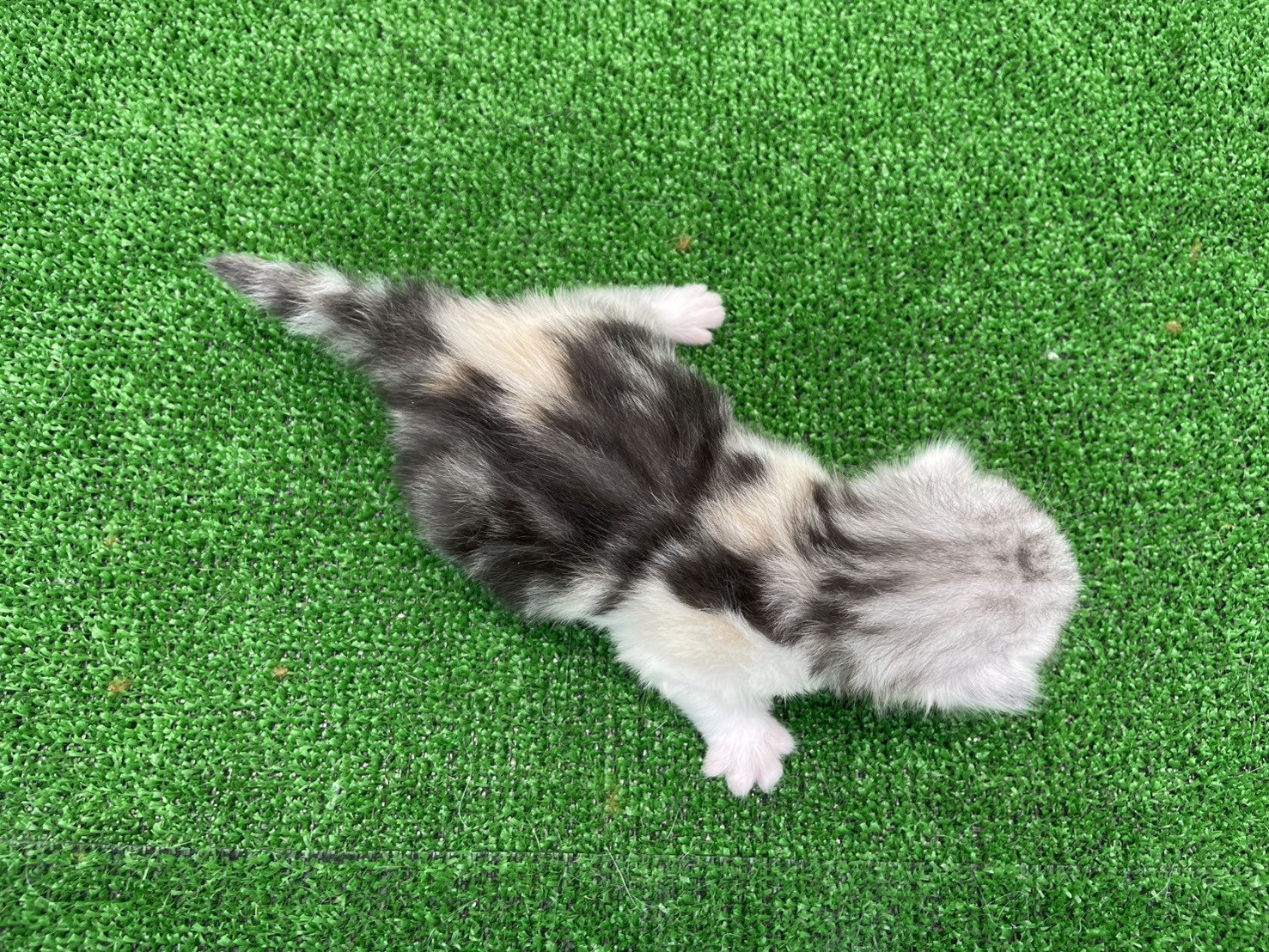 赤ちゃん写真1-3