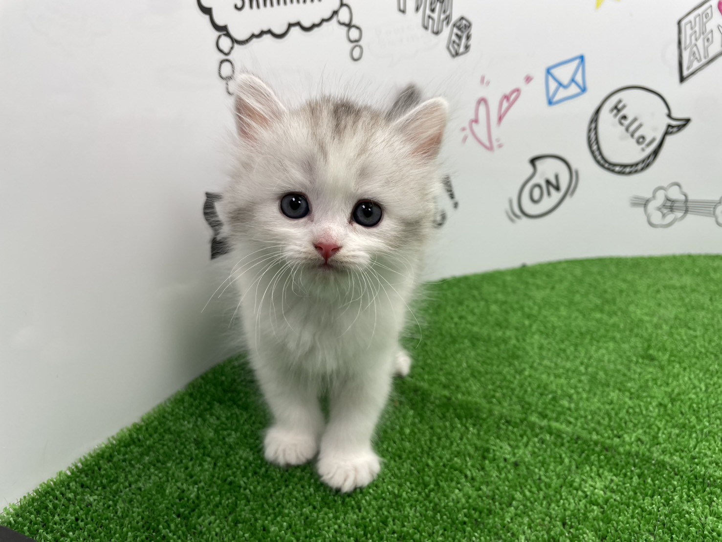 赤ちゃん写真2-1