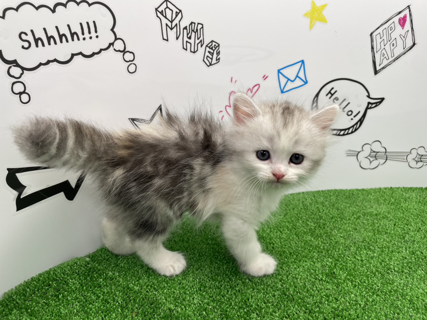 赤ちゃん写真2-2