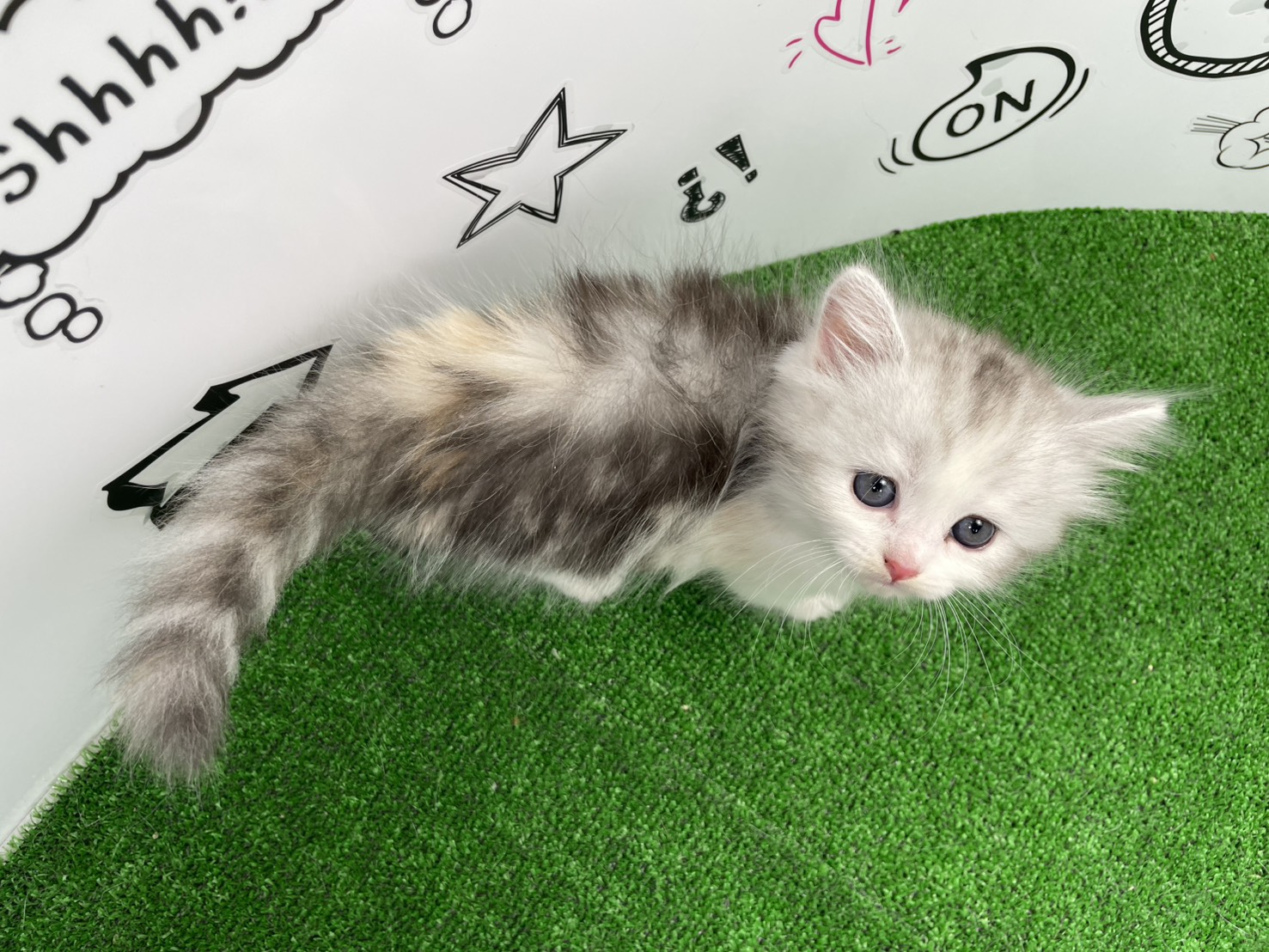 赤ちゃん写真2-3