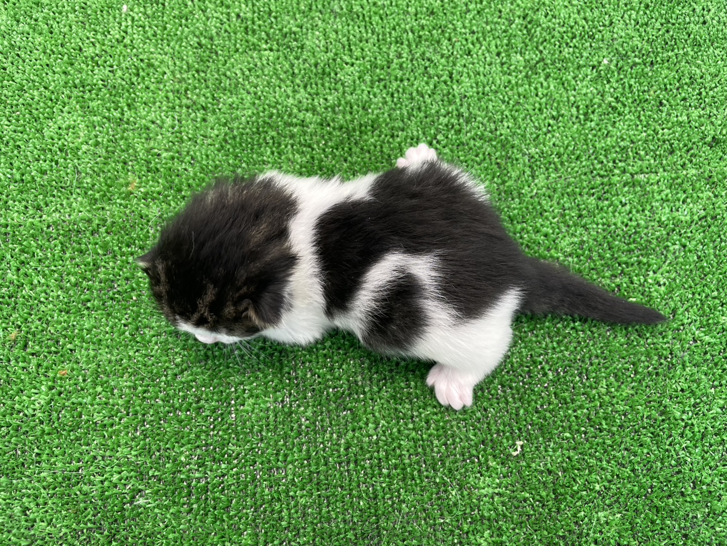 赤ちゃん写真1-3