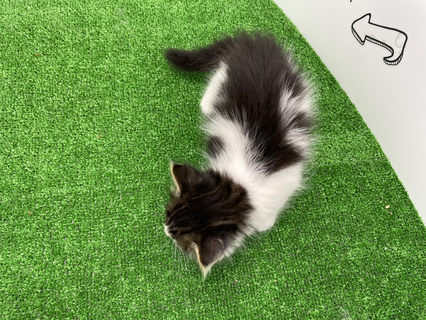 赤ちゃん写真2-3