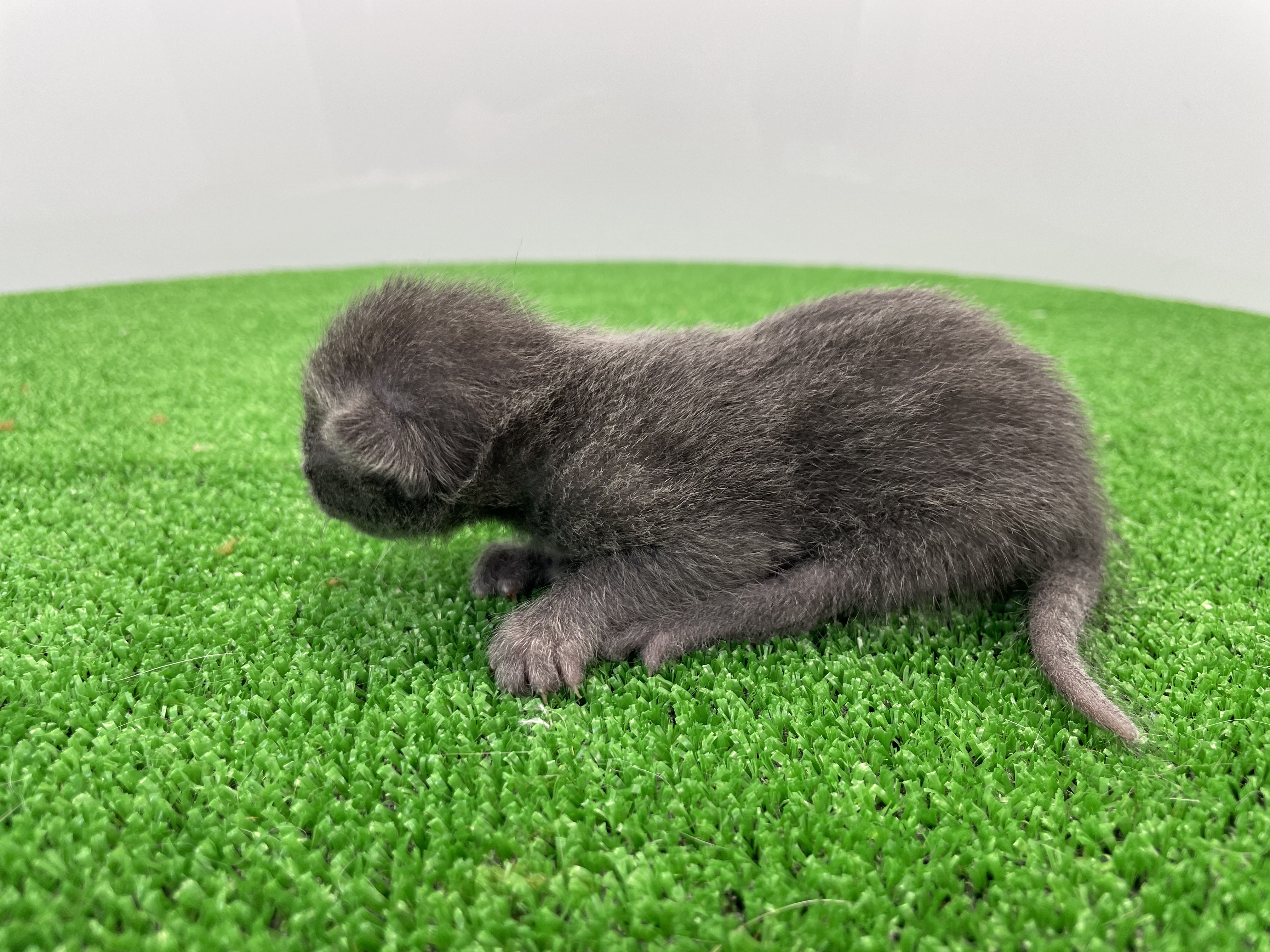 赤ちゃん写真1-2