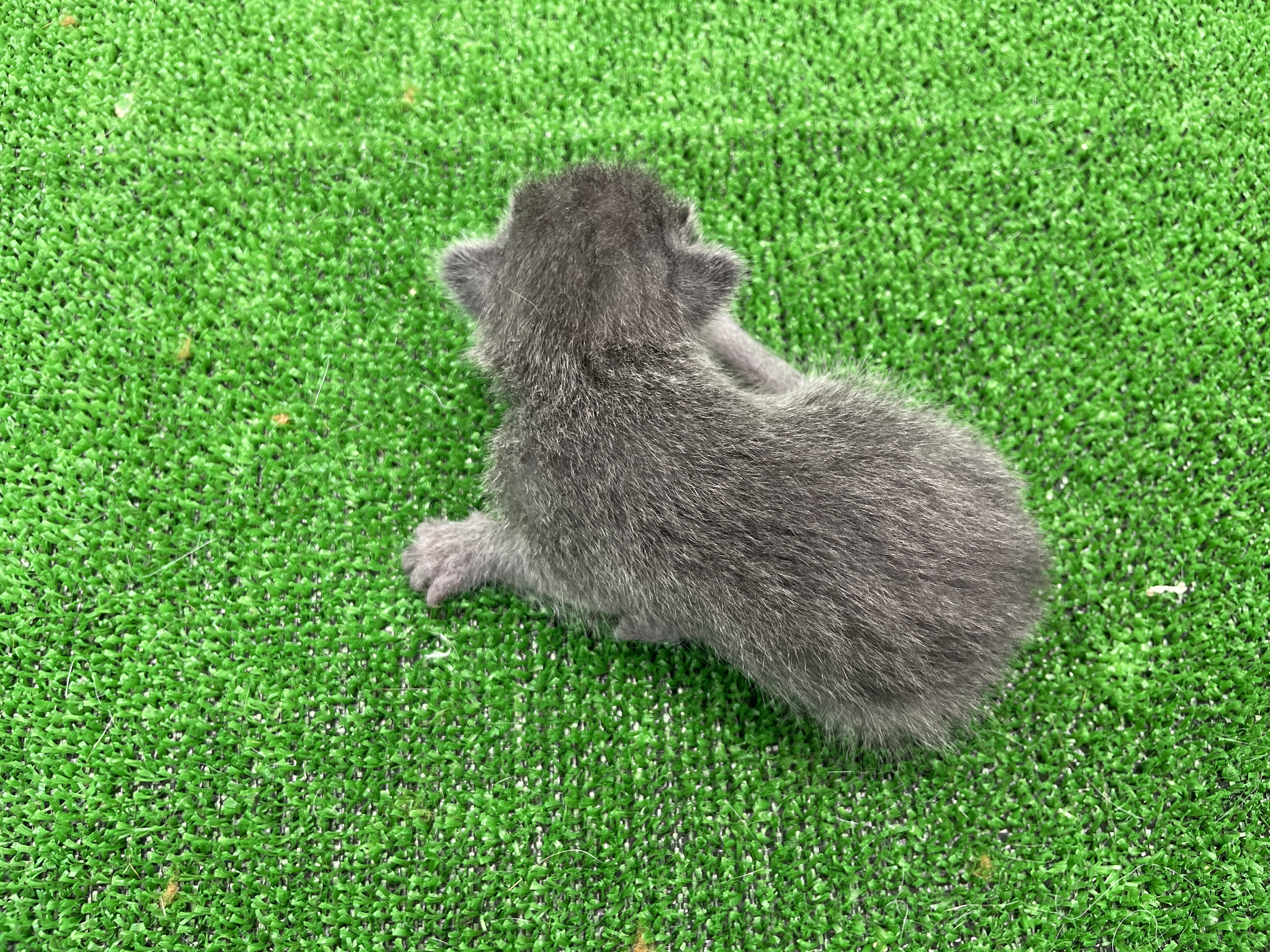 赤ちゃん写真1-3