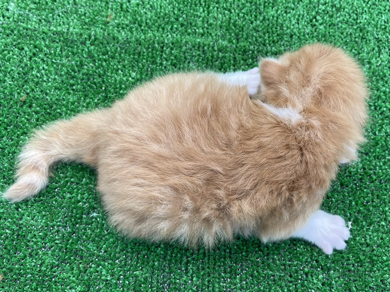 赤ちゃん写真1-3