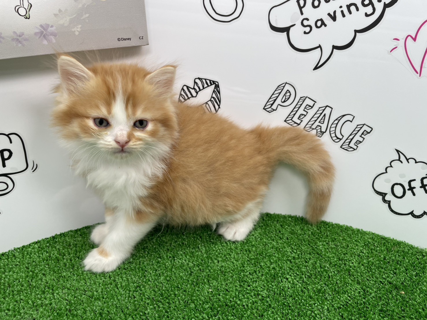 赤ちゃん写真3-1