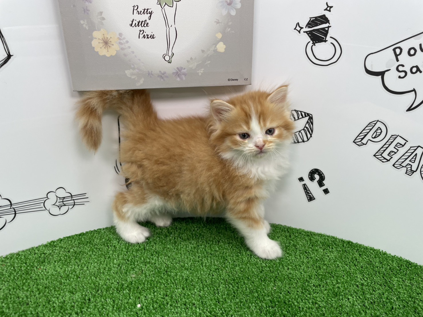 赤ちゃん写真3-2