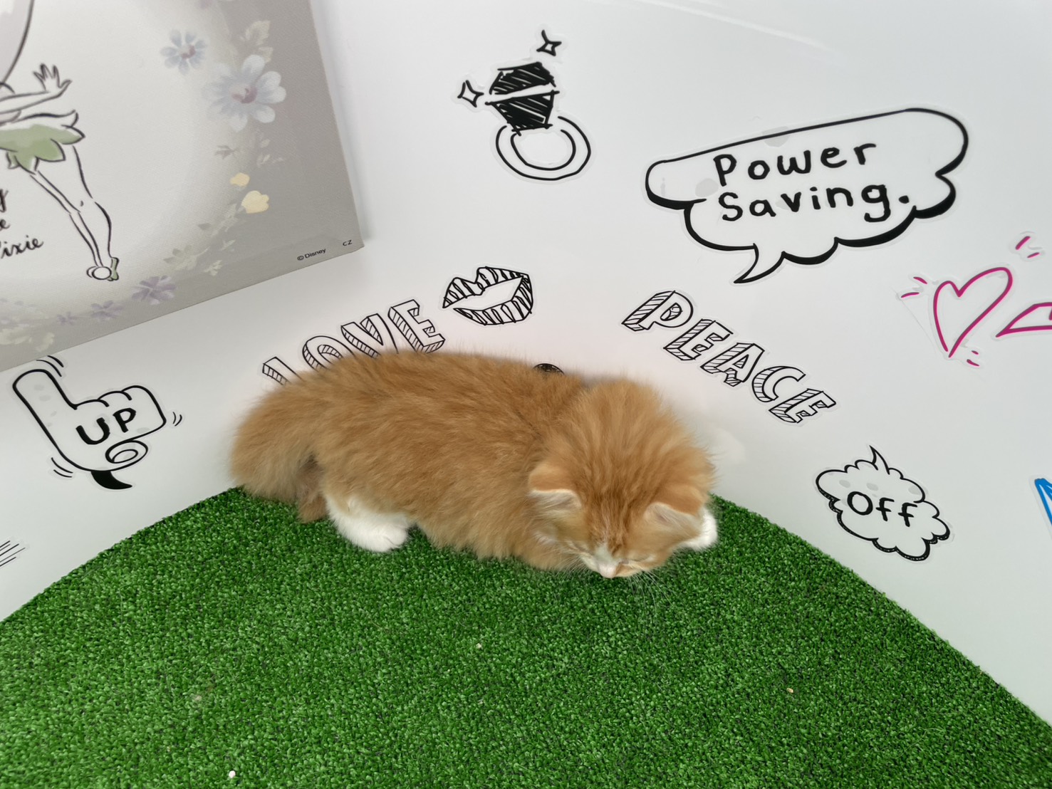 赤ちゃん写真3-3