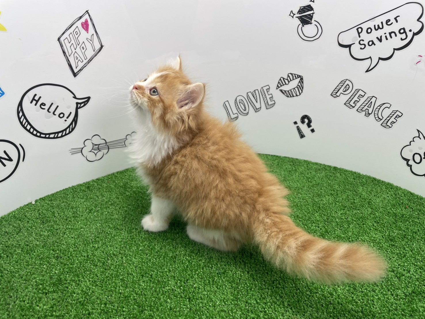 赤ちゃん写真2-2