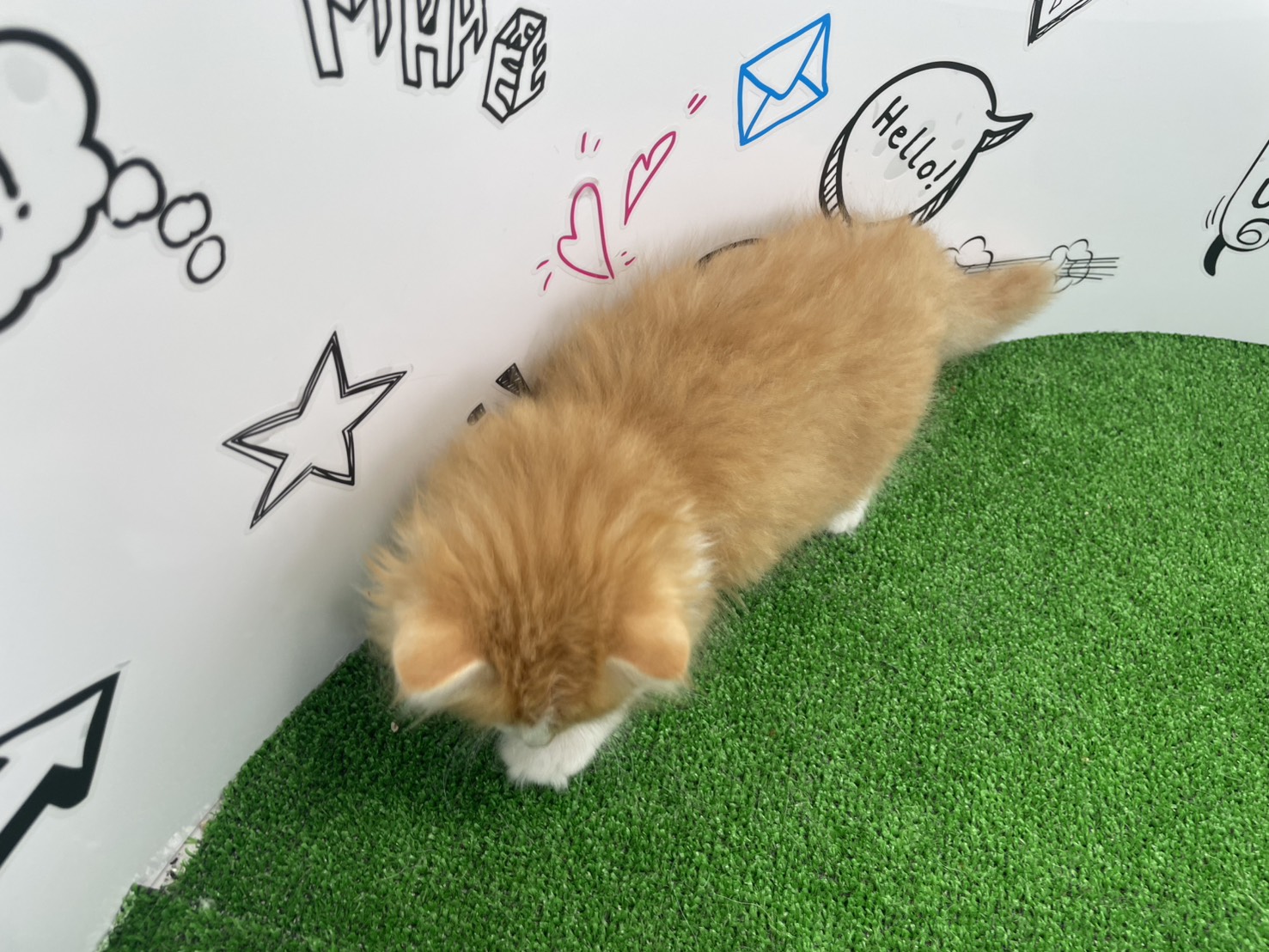 赤ちゃん写真2-3