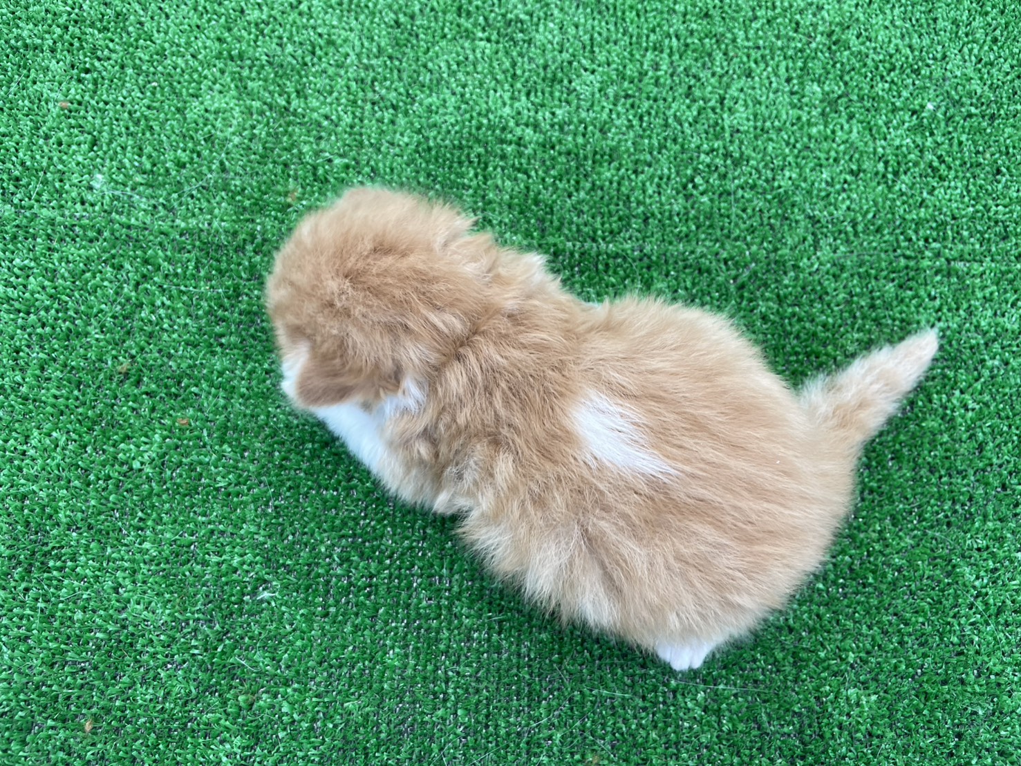 赤ちゃん写真1-3