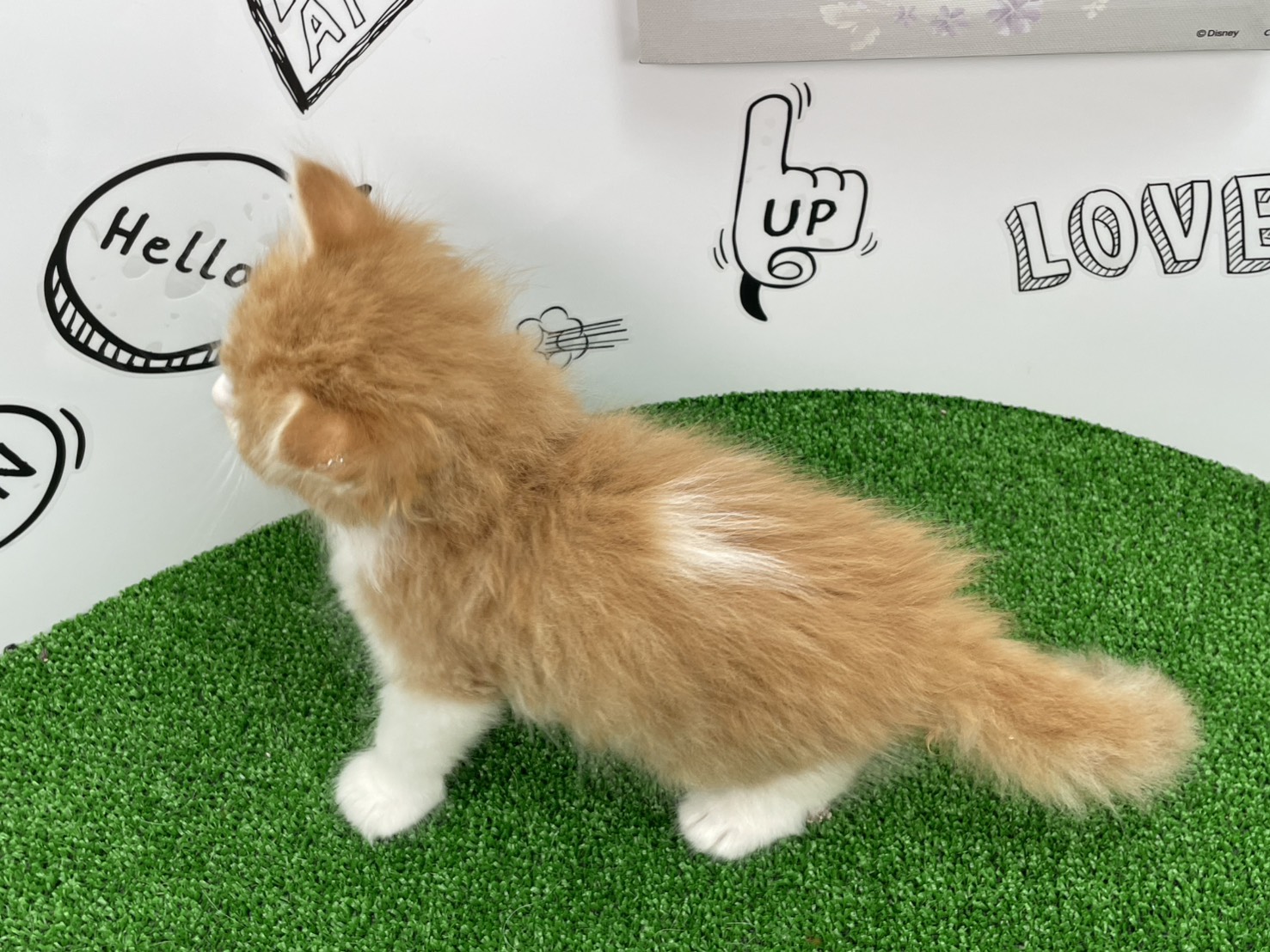 赤ちゃん写真2-3