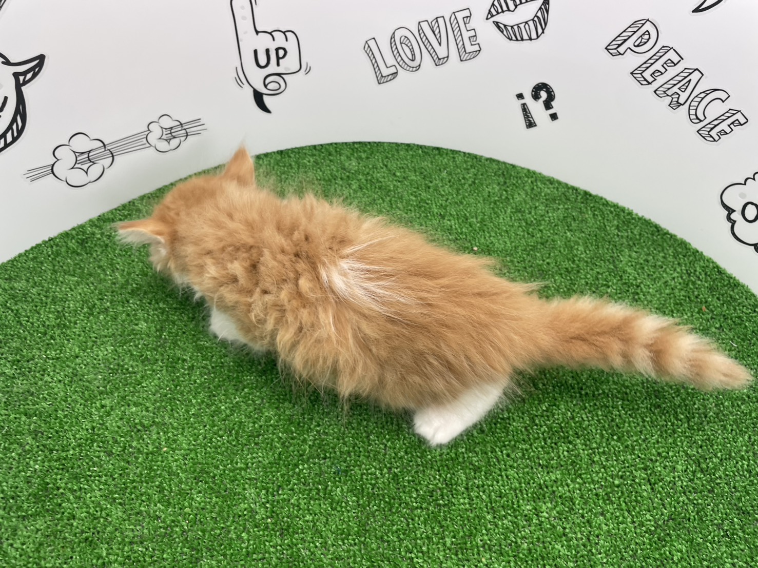赤ちゃん写真3-3