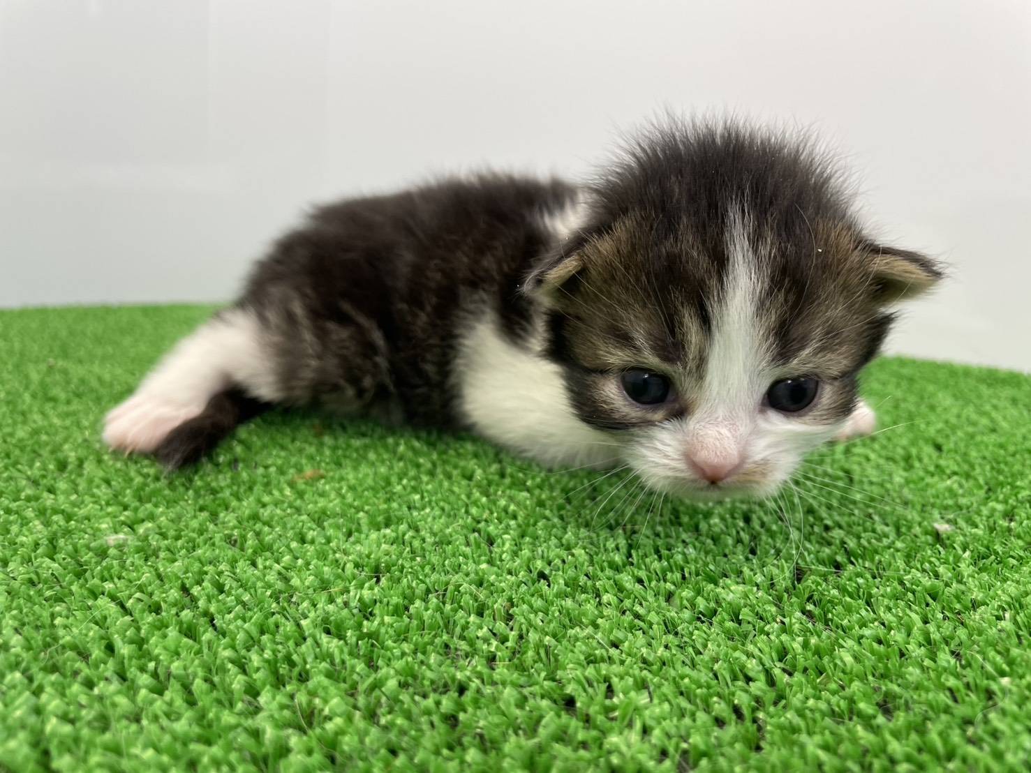 赤ちゃん写真1-1