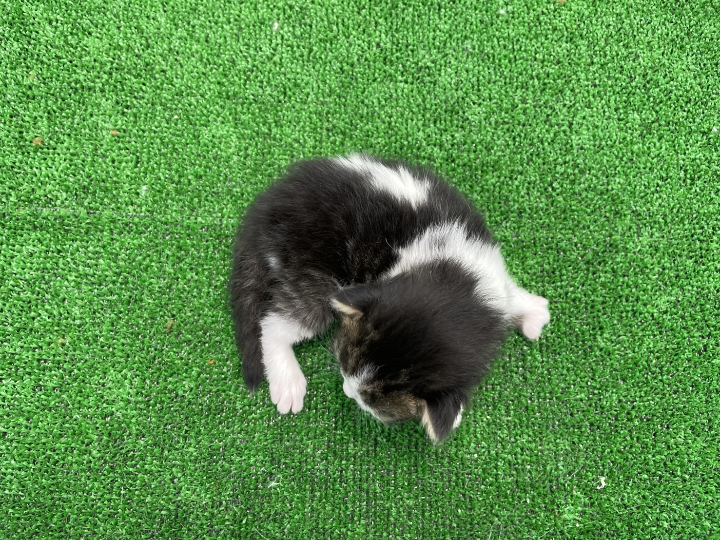 赤ちゃん写真1-3