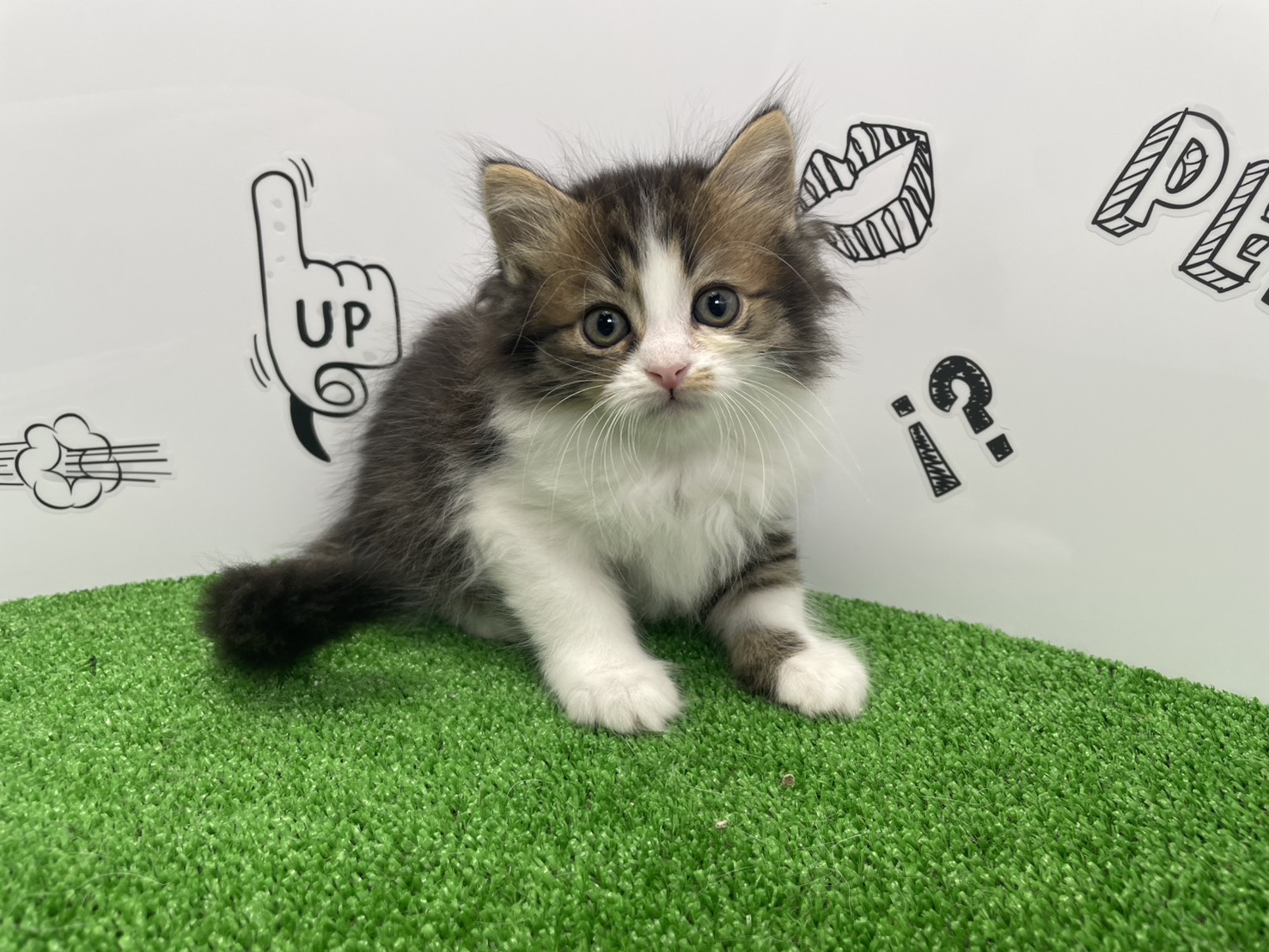 赤ちゃん写真2-1