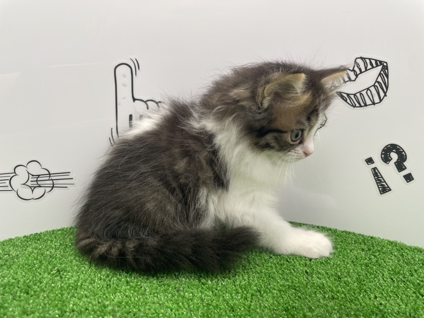 赤ちゃん写真2-2